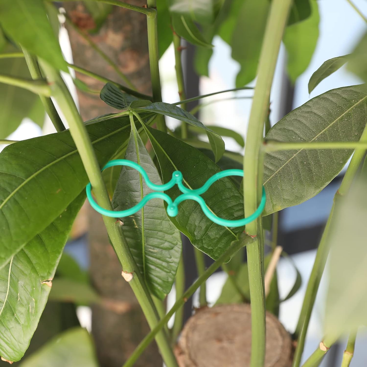Garden Plant Support Clips 100Pcs Green Tomato Clips Vegetables Vine Flower Clips Garden Clips For Climbing Plants, Securing Plants - Image 7
