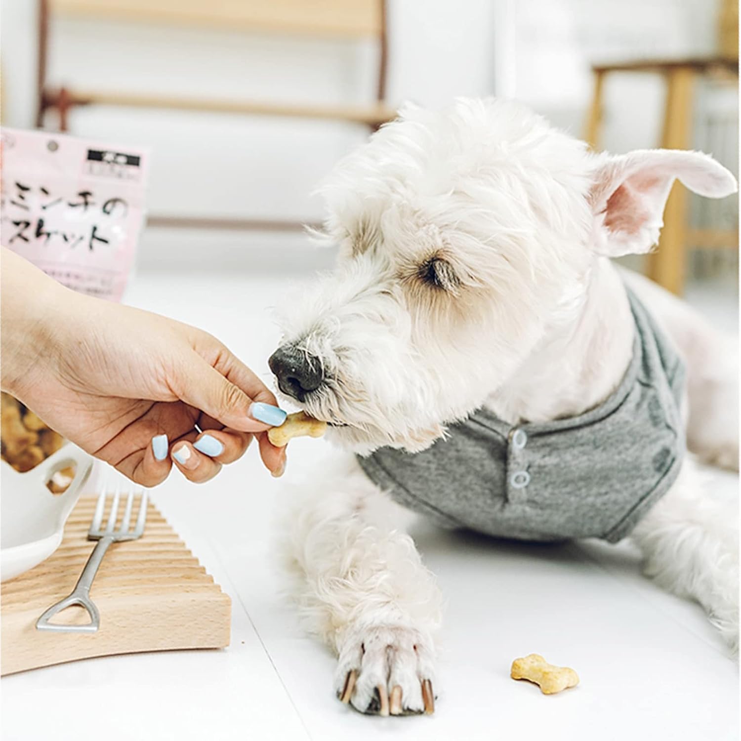 Dog treats Cutters Set 6 Pieces Dog Cookie Cutter sets Different Sizes Mini Small Medium Big Cut Out for Homemade Treats and Baking - Image 3