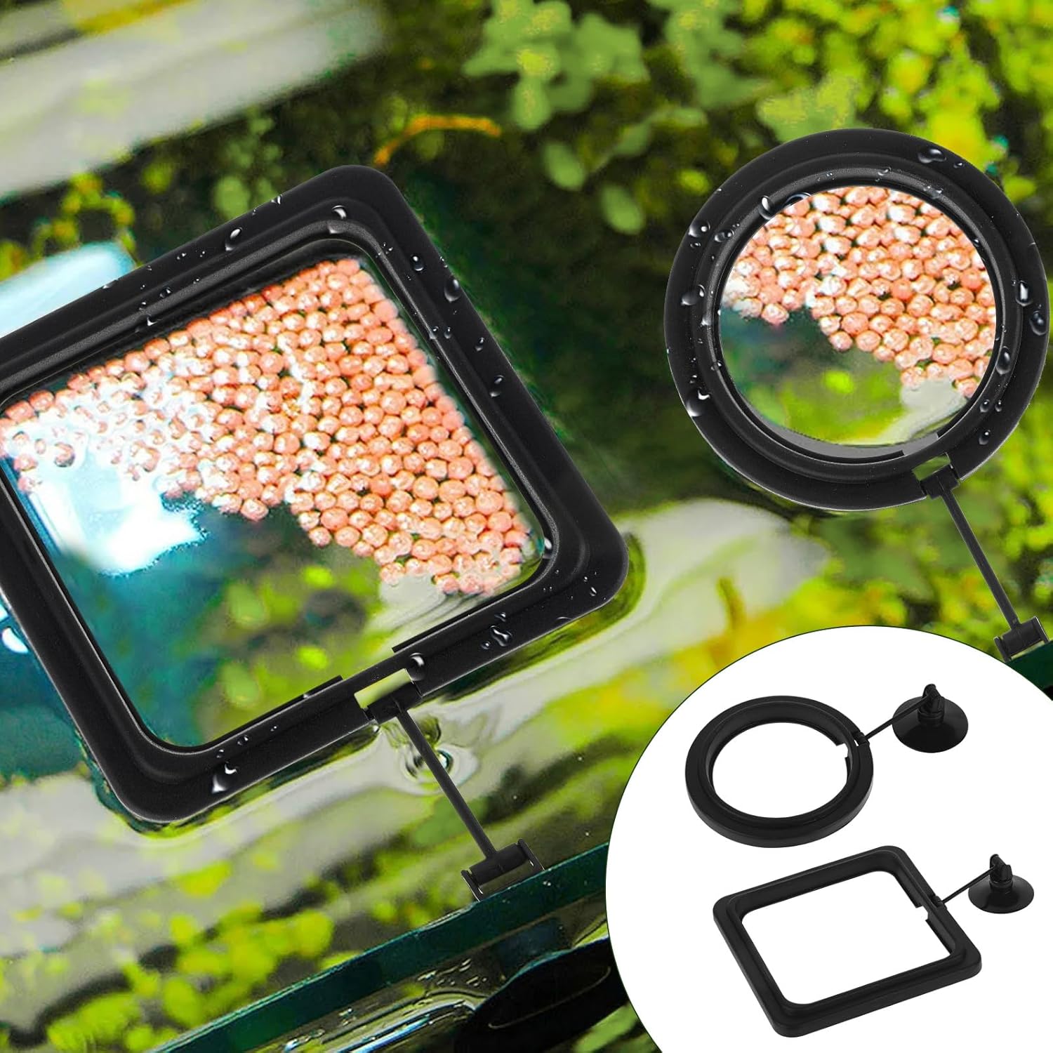 2 PCS Fish Feeding Ring, Aquarium Feeding Ring Automatic Goldfish Tank Feeder Dispenser Auto Live Betta Fish Vacation Feeder Floating Food Accessories for Turtle, Coral, Goldfish (Black) - Image 6
