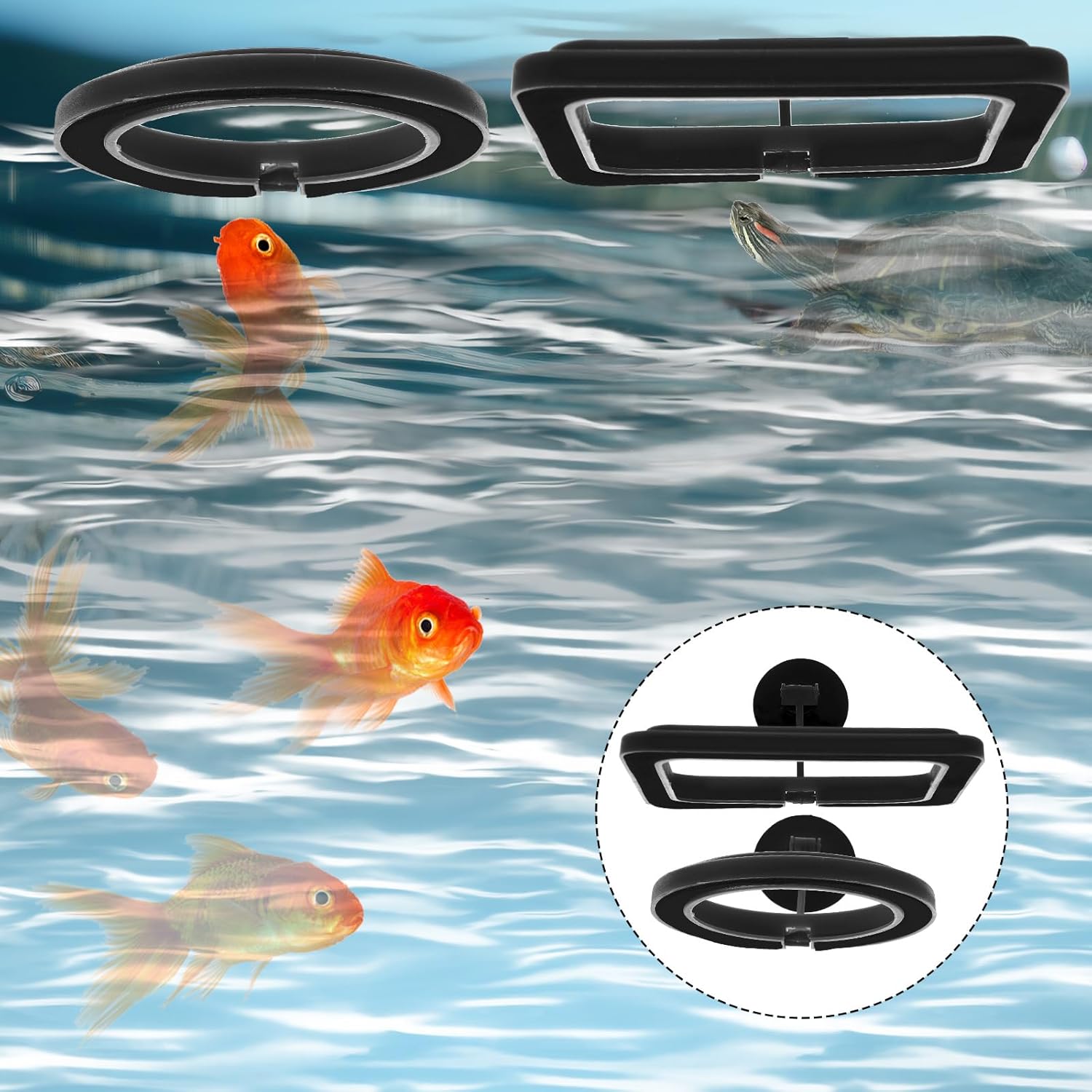 2 PCS Fish Feeding Ring, Aquarium Feeding Ring Automatic Goldfish Tank Feeder Dispenser Auto Live Betta Fish Vacation Feeder Floating Food Accessories for Turtle, Coral, Goldfish (Black) - Image 7