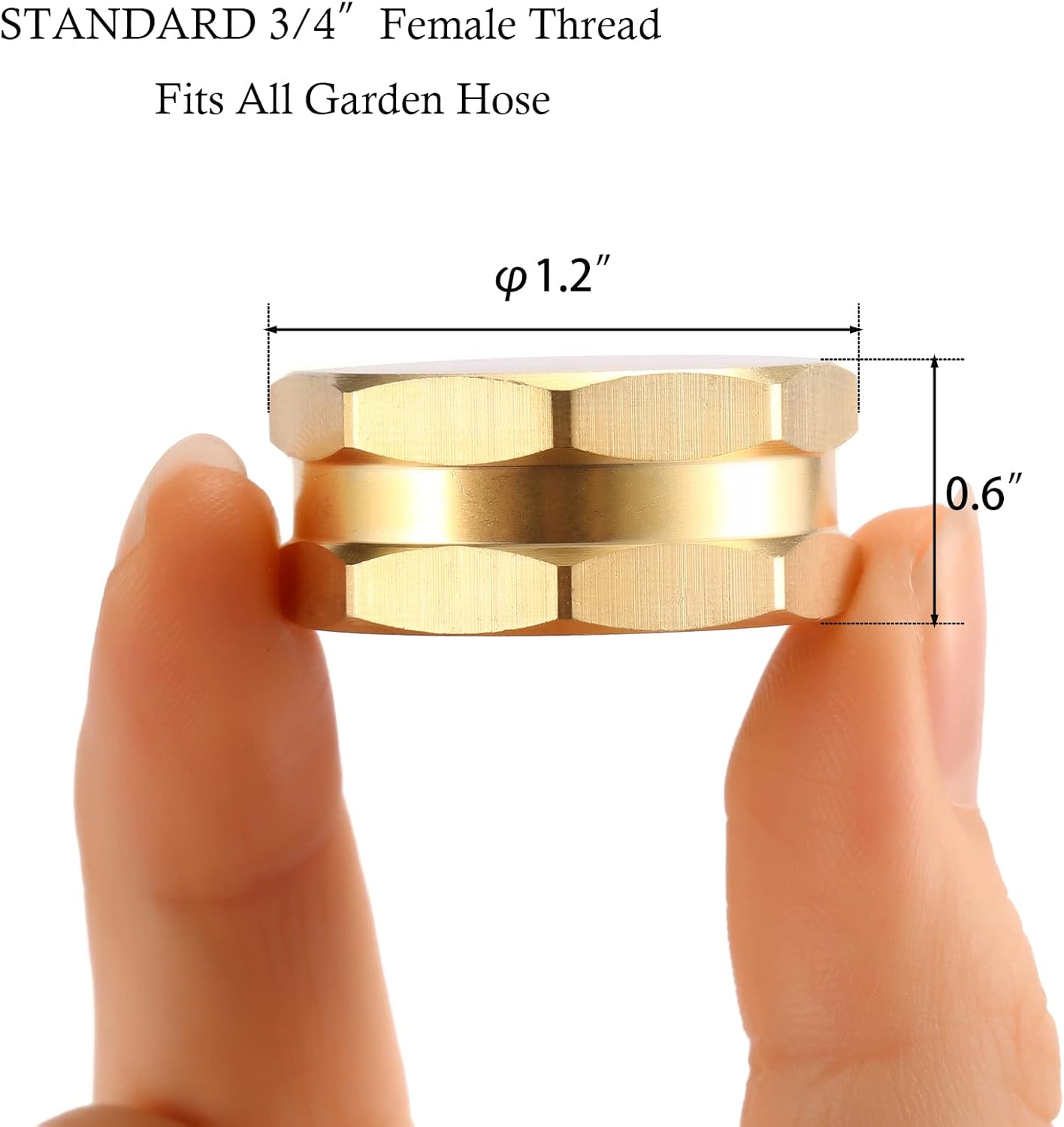 2 Pack Garden Hose End Caps with Washers, Brass Spigot Cap, 3/4