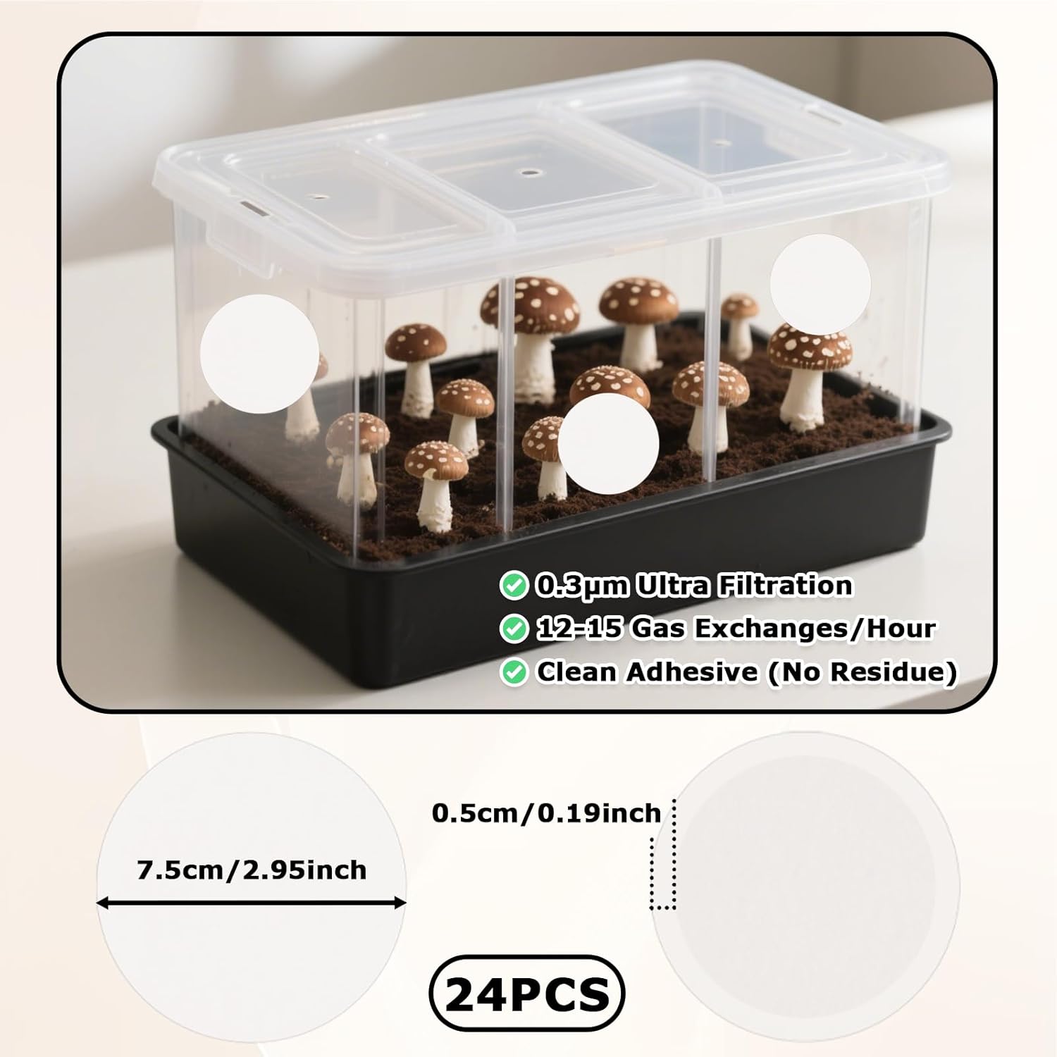 24 Pcs 2.5
