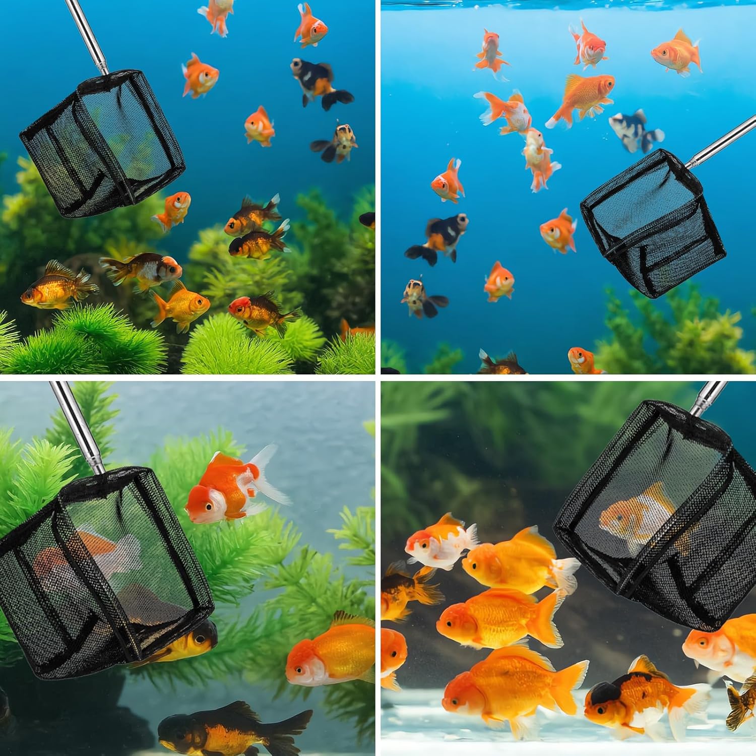 2 Pack 3 Inch Aquarium Net Small Fish Net Black Aquarium Shrimp Nets with Extendable Stainless Steel Handle Fine Tank Tool Mesh for Shrimp, Baby Fish, Food Residue Debris Skimming - Image 4