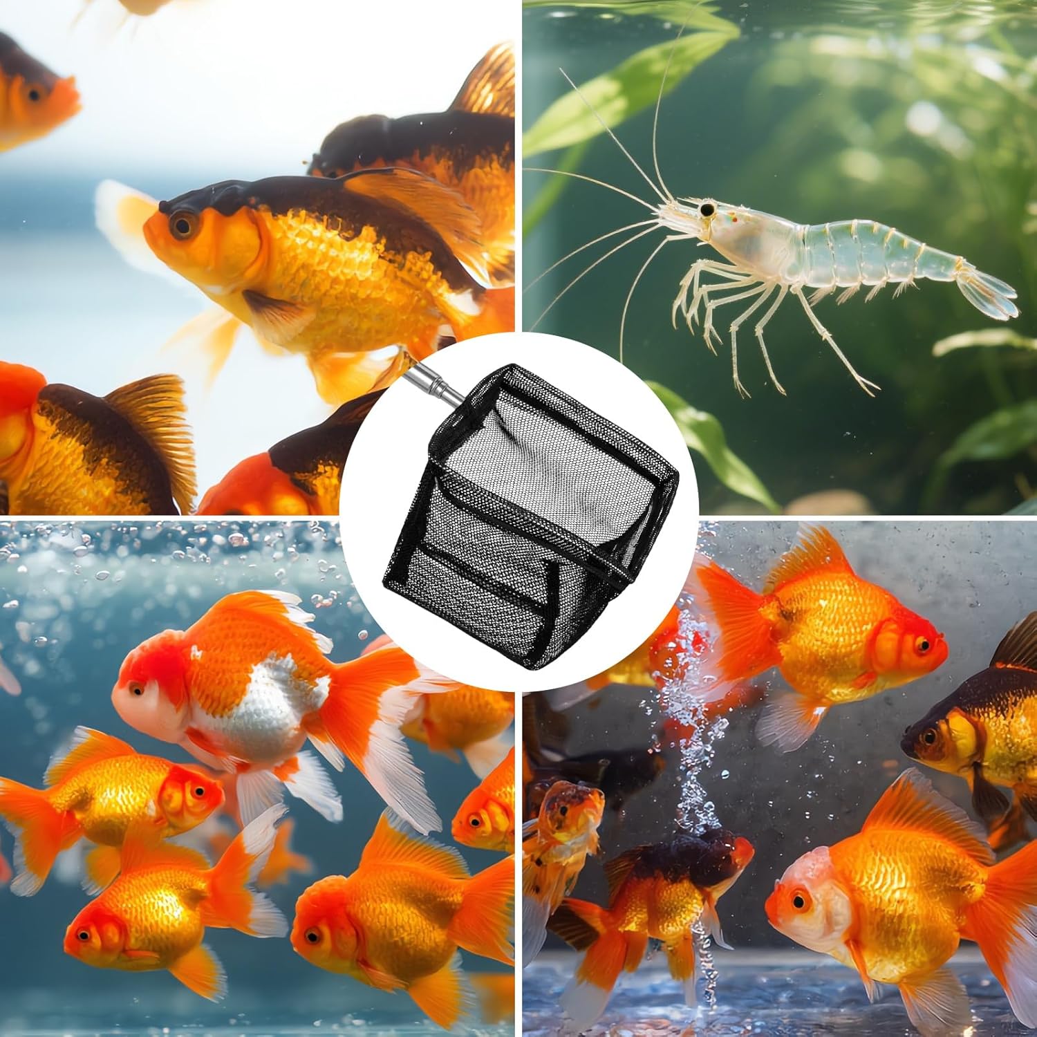 2 Pack 3 Inch Aquarium Net Small Fish Net Black Aquarium Shrimp Nets with Extendable Stainless Steel Handle Fine Tank Tool Mesh for Shrimp, Baby Fish, Food Residue Debris Skimming - Image 6