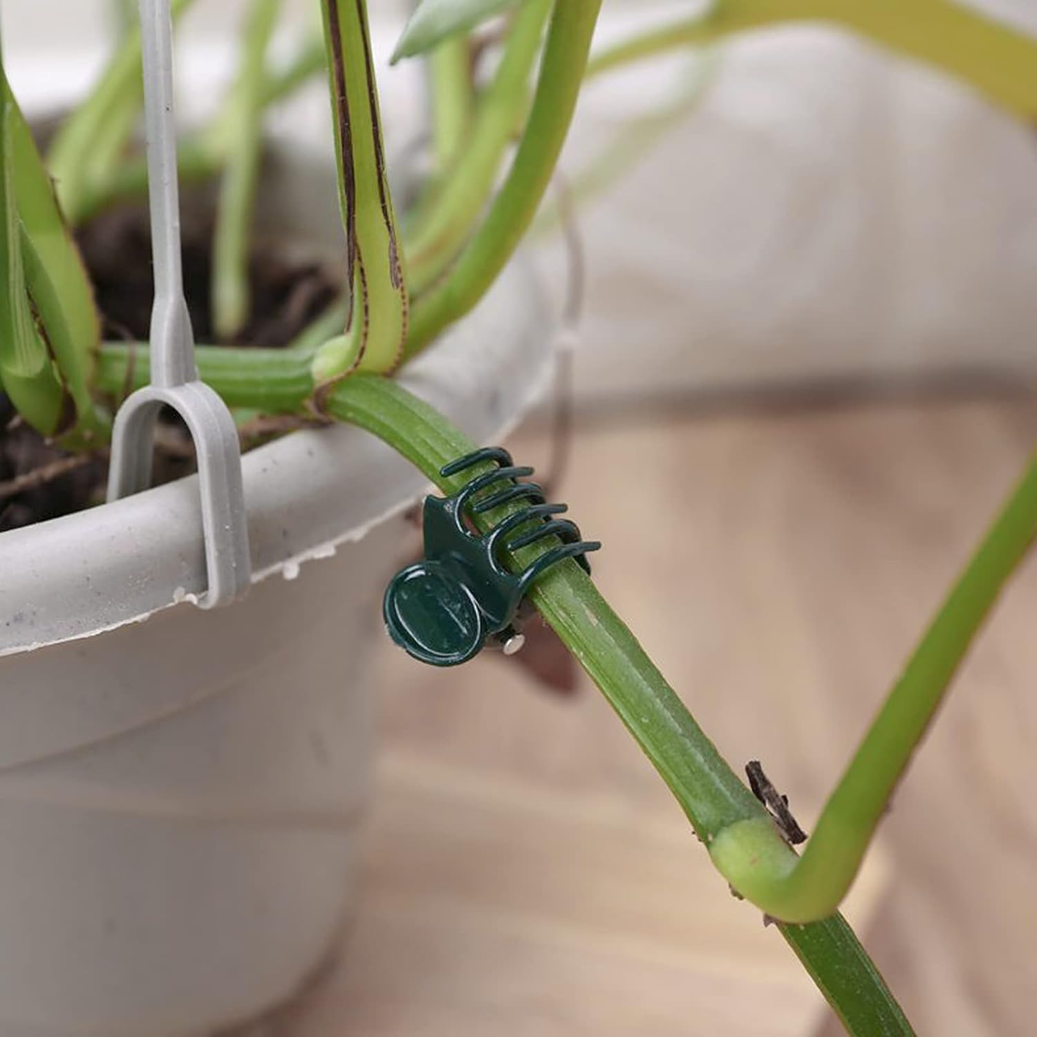 100 Pcs Plant Clips Orchid Clips Plants Orchid Support Clips Flower Vine Clips for Supporting Stems Vines Stalks Climbing Plant Grow Upright - Image 4