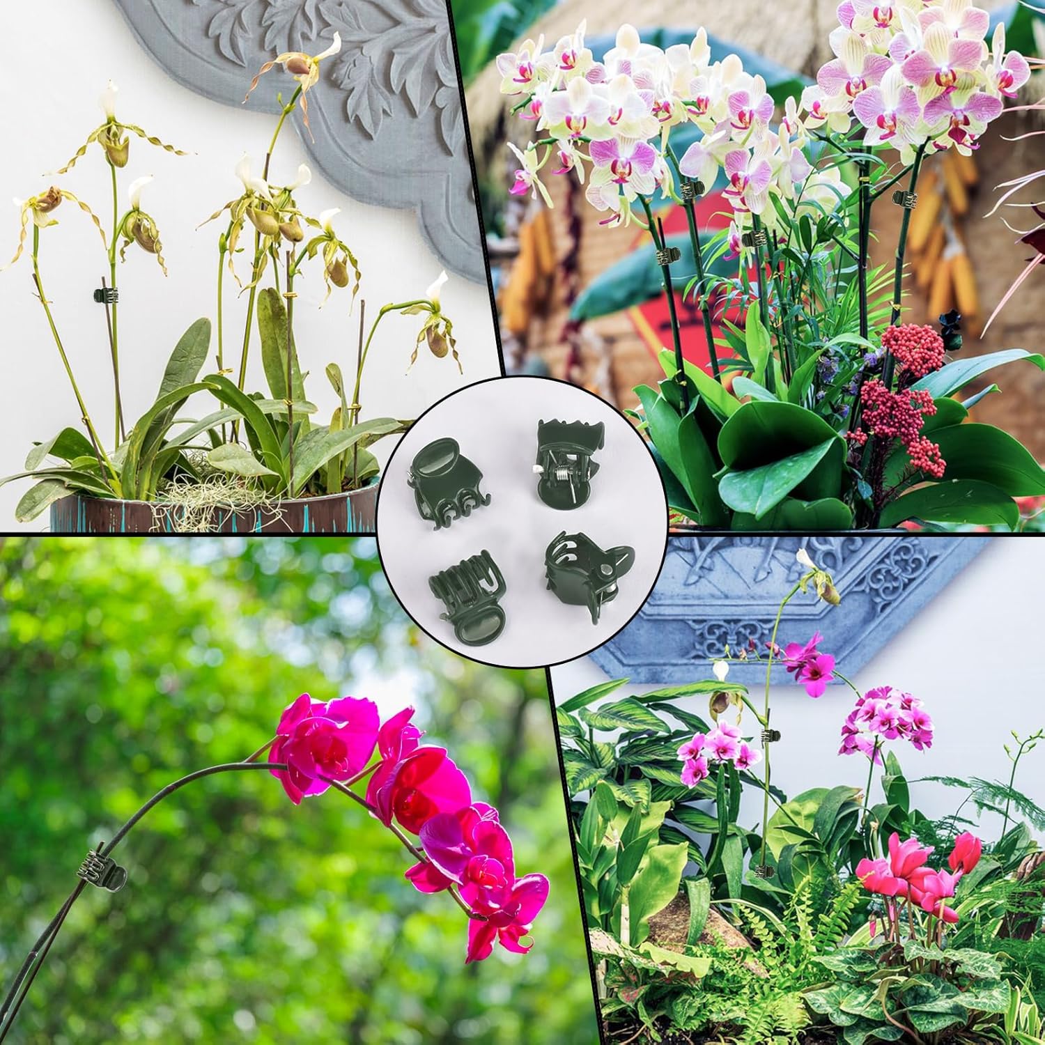 100 Pcs Plant Clips Orchid Clips Plants Orchid Support Clips Flower Vine Clips for Supporting Stems Vines Stalks Climbing Plant Grow Upright - Image 7