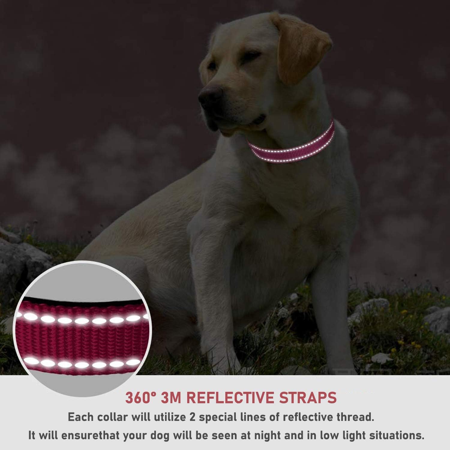 Reflective Dog Collar with Buckle Adjustable Safety Nyl Collars for Small Medium Large Dogs, Pink S - Image 4