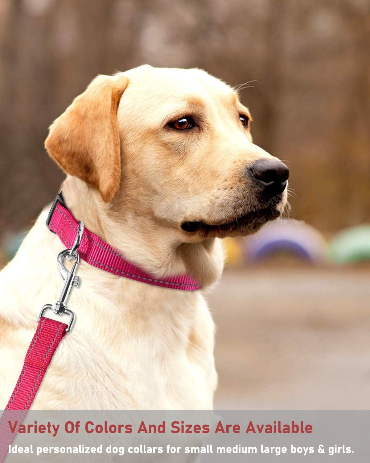Reflective Dog Collar with Buckle Adjustable Safety Nyl Collars for Small Medium Large Dogs, Pink S - Image 7