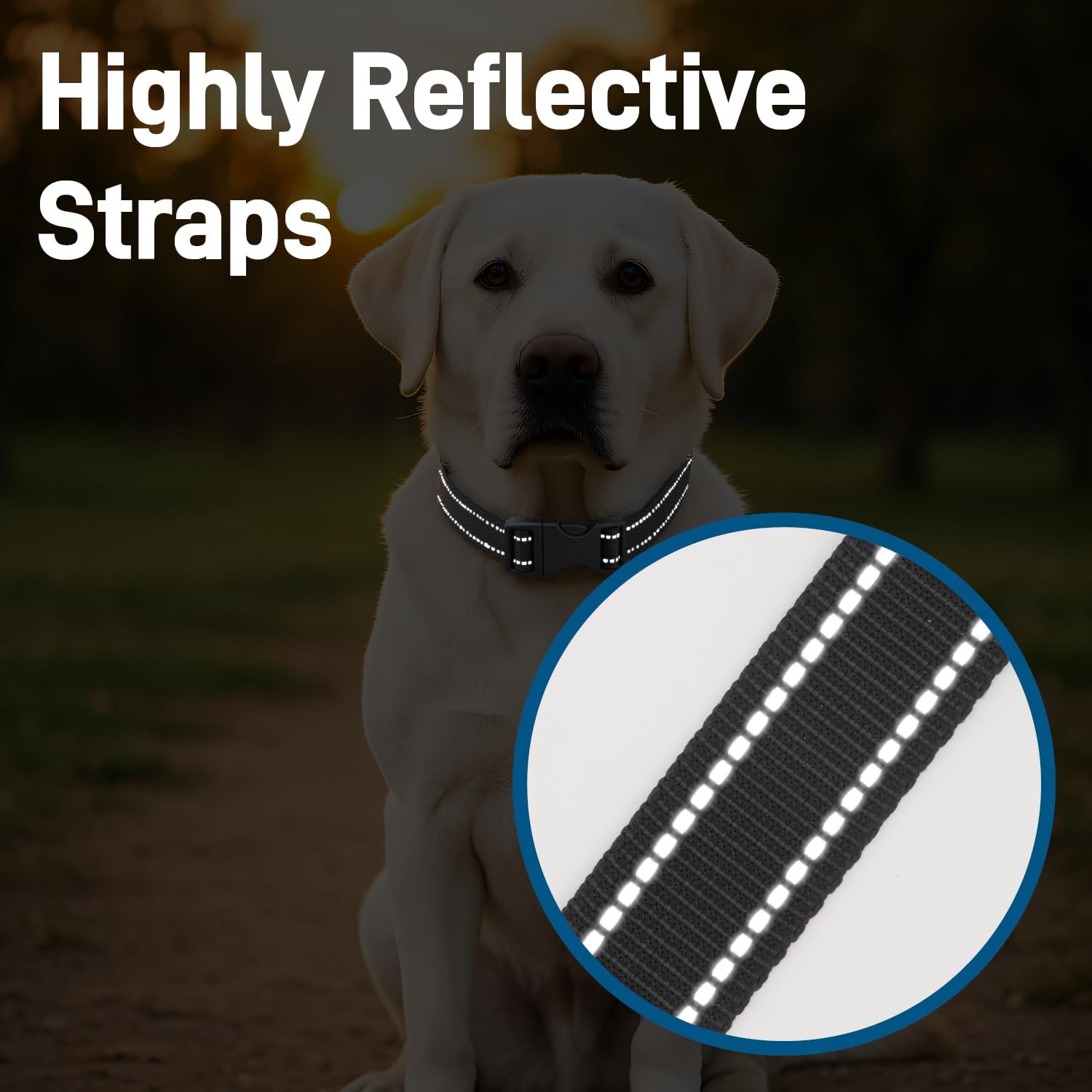 Dog Collar for Small Medium Dogs with Buckle, Breathable Adjustable Nyl Reflective Dog Collars, Black/Small - Image 5
