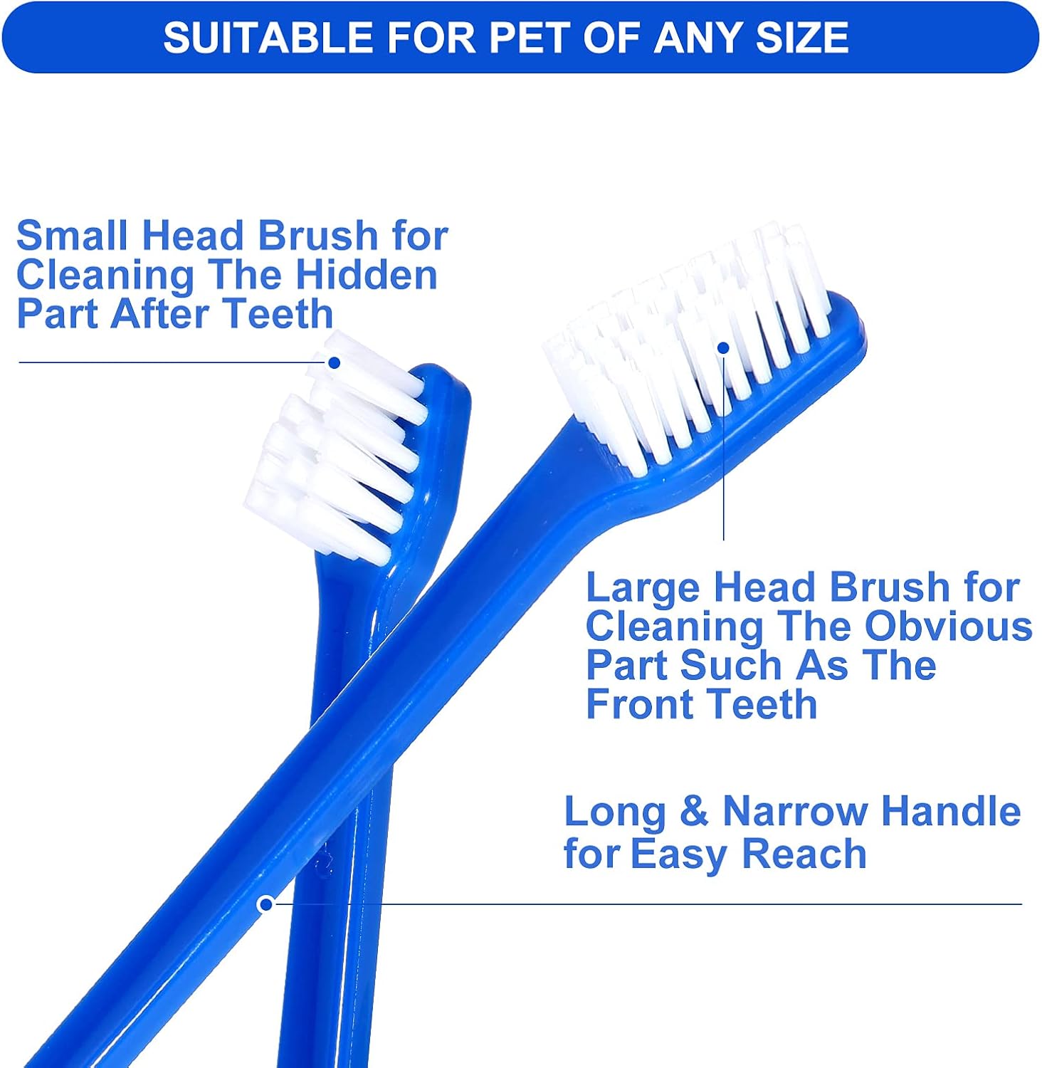 Petluno Dog Toothbrush Set of 8 - Dual Headed, Dental Hygiene Convenient Soft to Clean pet Teeth, Tooth Brushes for Small Large Dogs, Cats, and Most Pets, Teeth Brush in Bulk - Image 4