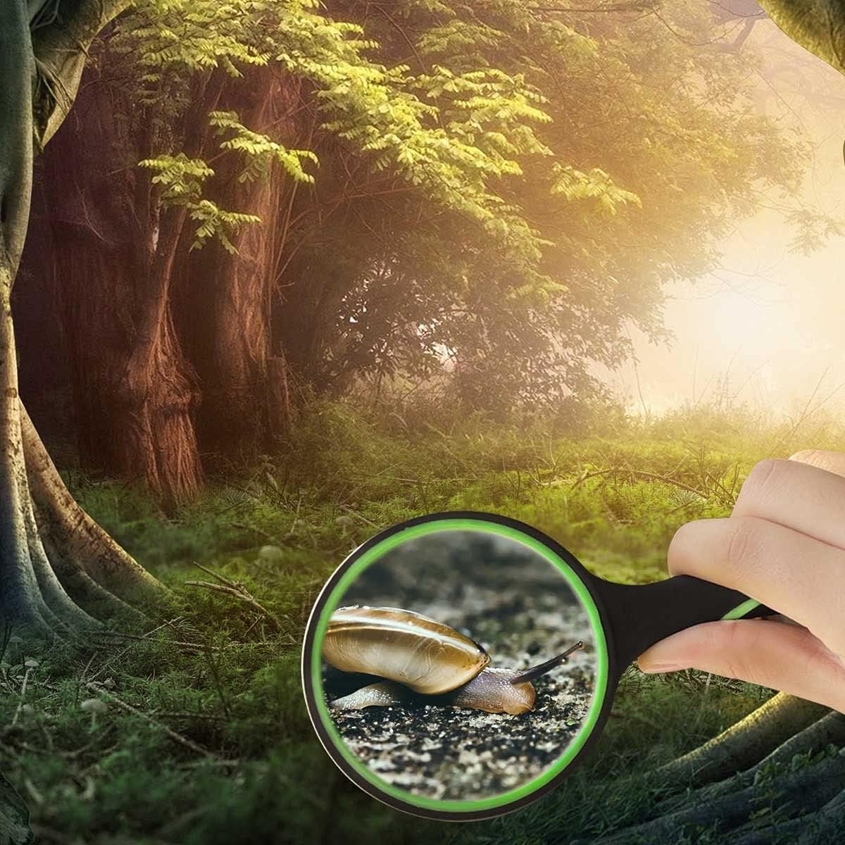 10X Shatterproof Magnifying Glass Large Handheld for Seniors Kids 75mm Lens with Non-Slip Rubber Handle Magnifier Reading Science Insect Hobby Observation - Image 5