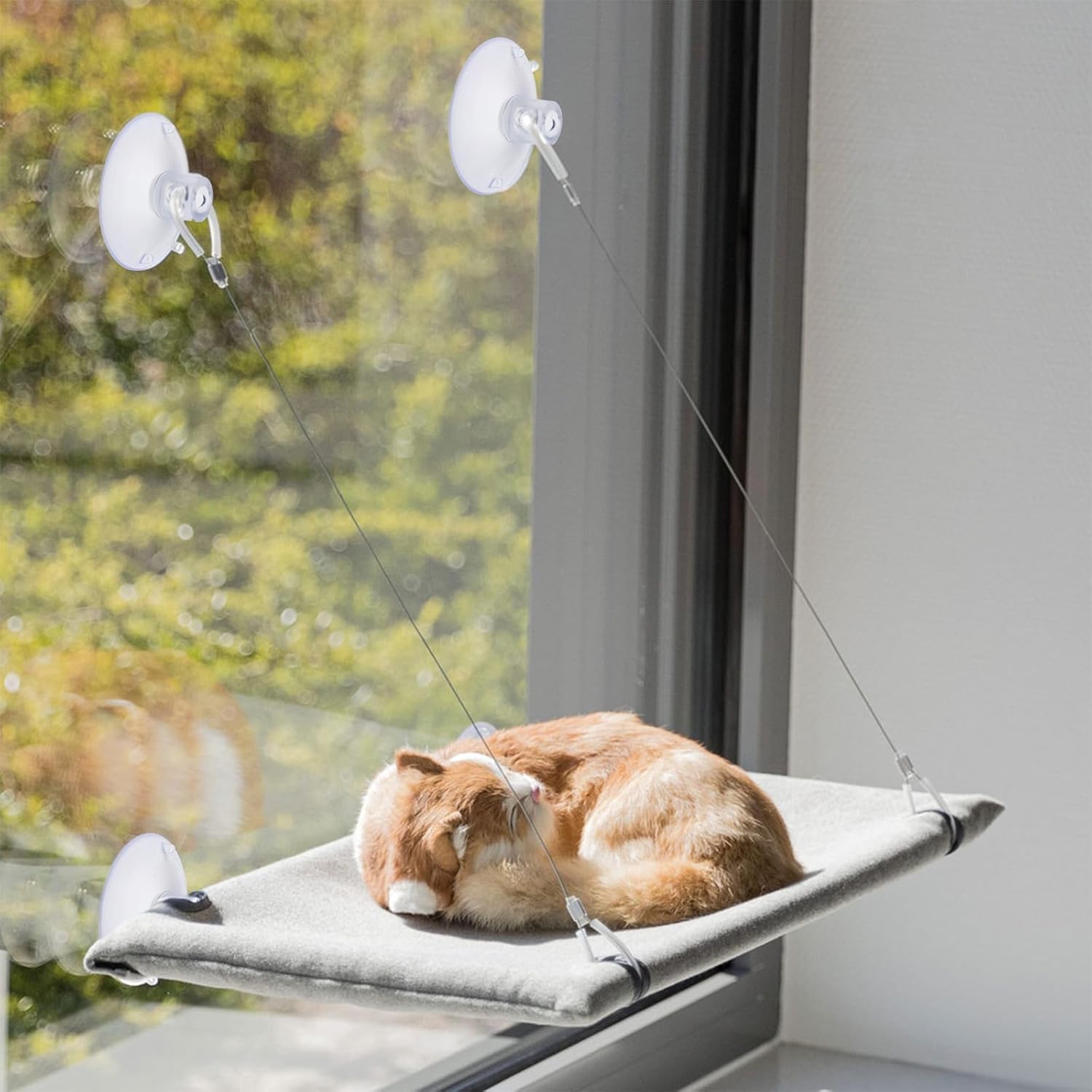 4 PCS Window Perch Suction Cup Large Replacement Clear PVC Sucker Pads Powerful Suction Cups for Cat Window Bed Seat Hammocks - Image 4