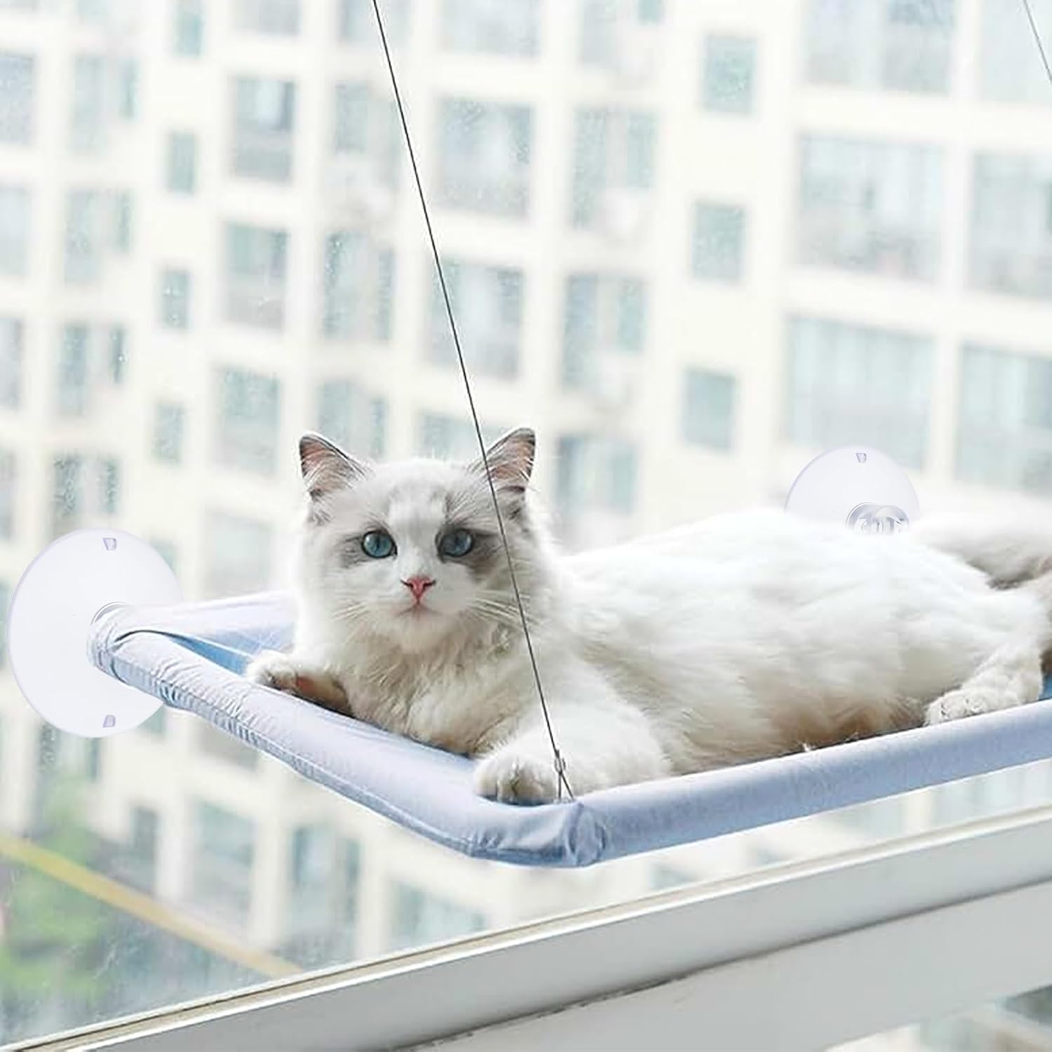 4 PCS Window Perch Suction Cup Large Replacement Clear PVC Sucker Pads Powerful Suction Cups for Cat Window Bed Seat Hammocks - Image 5