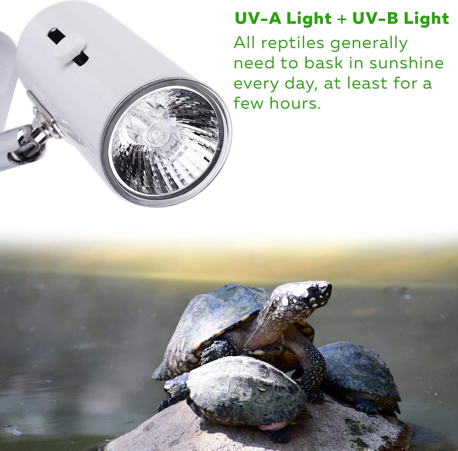 4-Pack 75W UVA+UVB Bulbs | Heat and Light for Reptiles and Amphibian Tanks, Terrariums and Cages | Works with Various Lamp Fixtures - Image 2