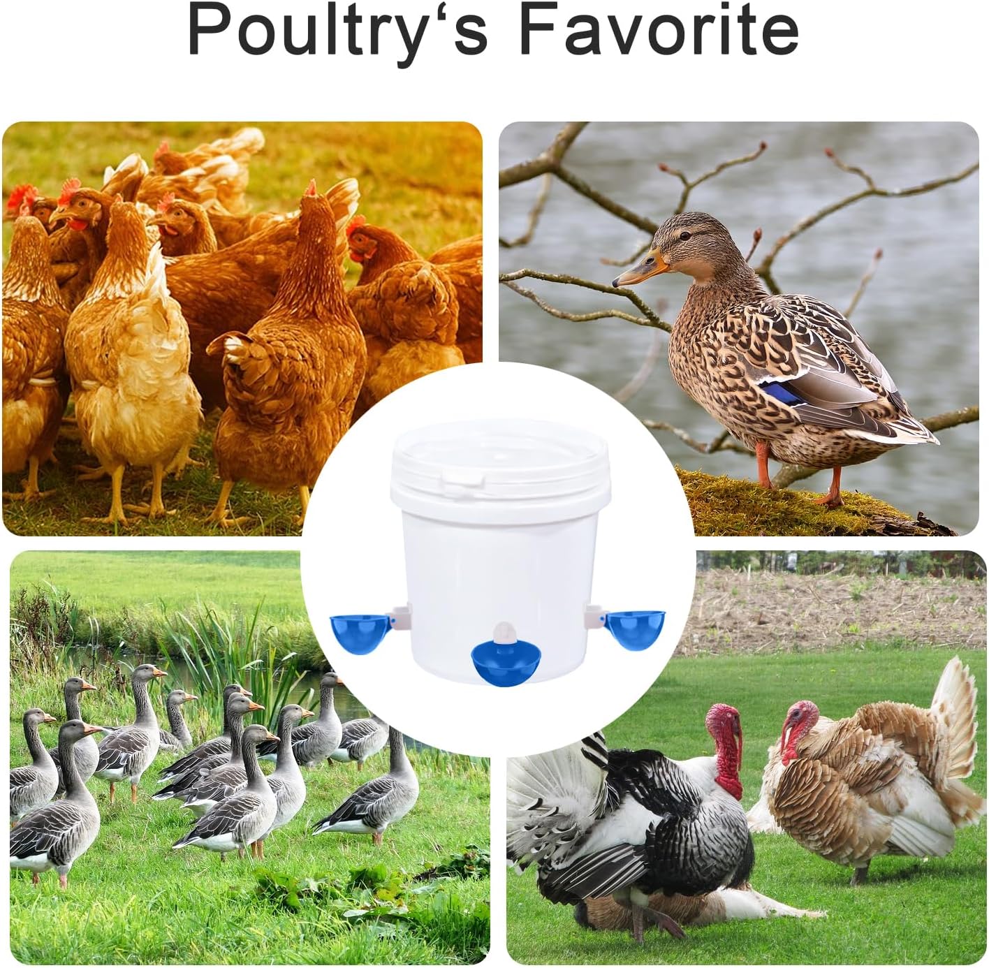 Professional Chicken Waterer Cups, 8 Packs Blue Large Chicken Water Feeder, Tee Fittings Poultry Waterer Suitable for Duck, Chicks, Goose, Turkey, Bunny and Bird with Mounting Hole Opener - Image 6
