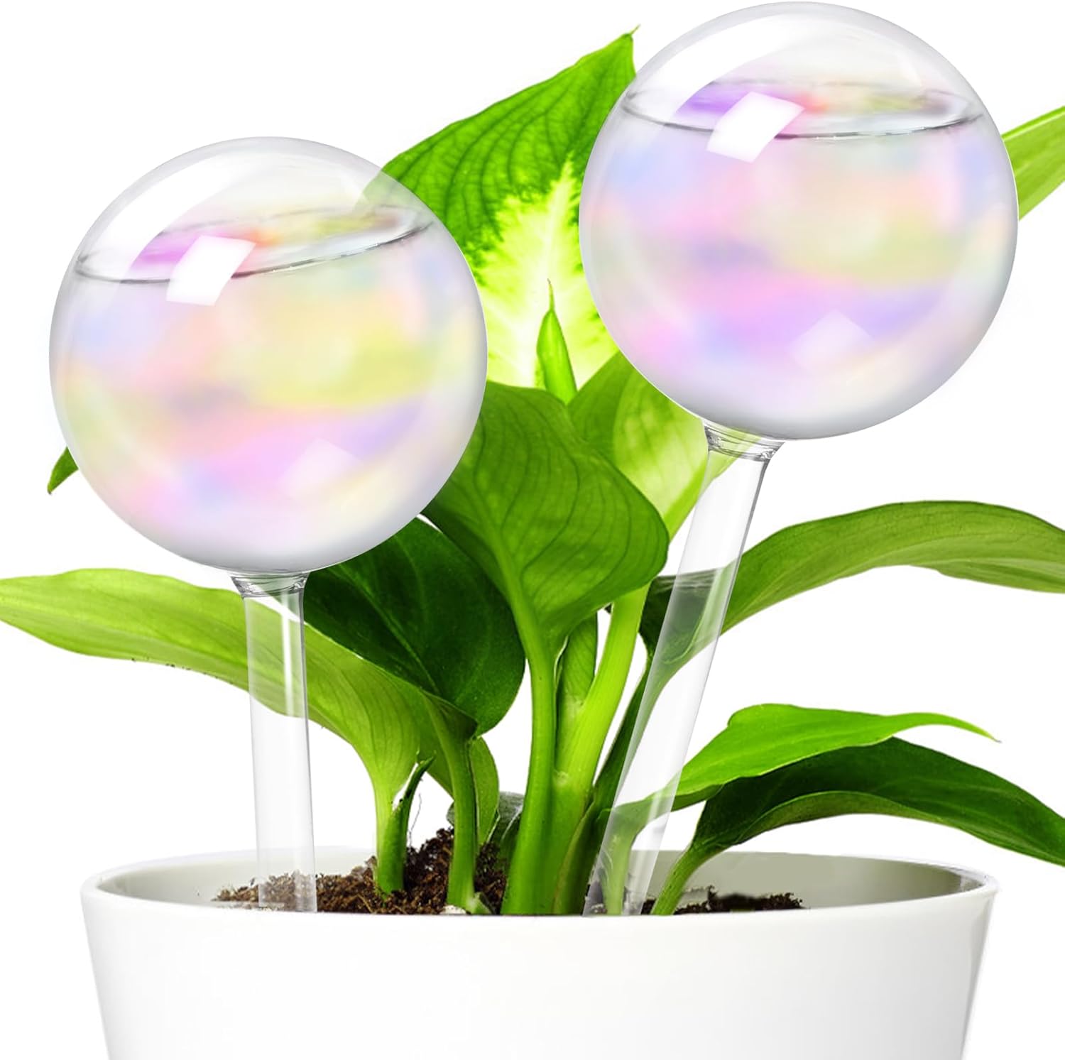 2 Pcs Iridescent Self Watering Globes,Rainbow Plant Watering Insert,Automatic Plant Waterer Glass Bulbs,Clear Glass Plant Water Globes for Indoor and Outdoor - Image 1