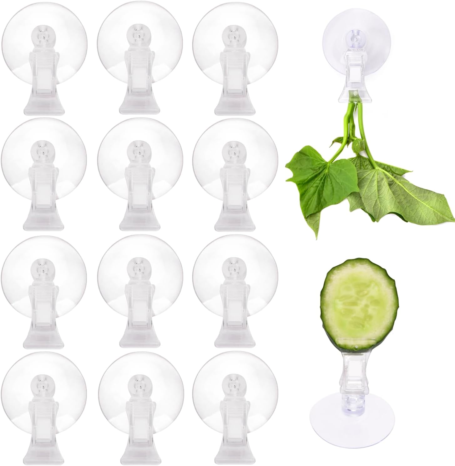 12Pcs Veggie Clips Aquarium Seaweed Clips Fish Food Holder Wide Mouth Clips Plants Suction Cups Algae Clips for Freshwater and Marine Fish Tank (Plastic) - Image 1