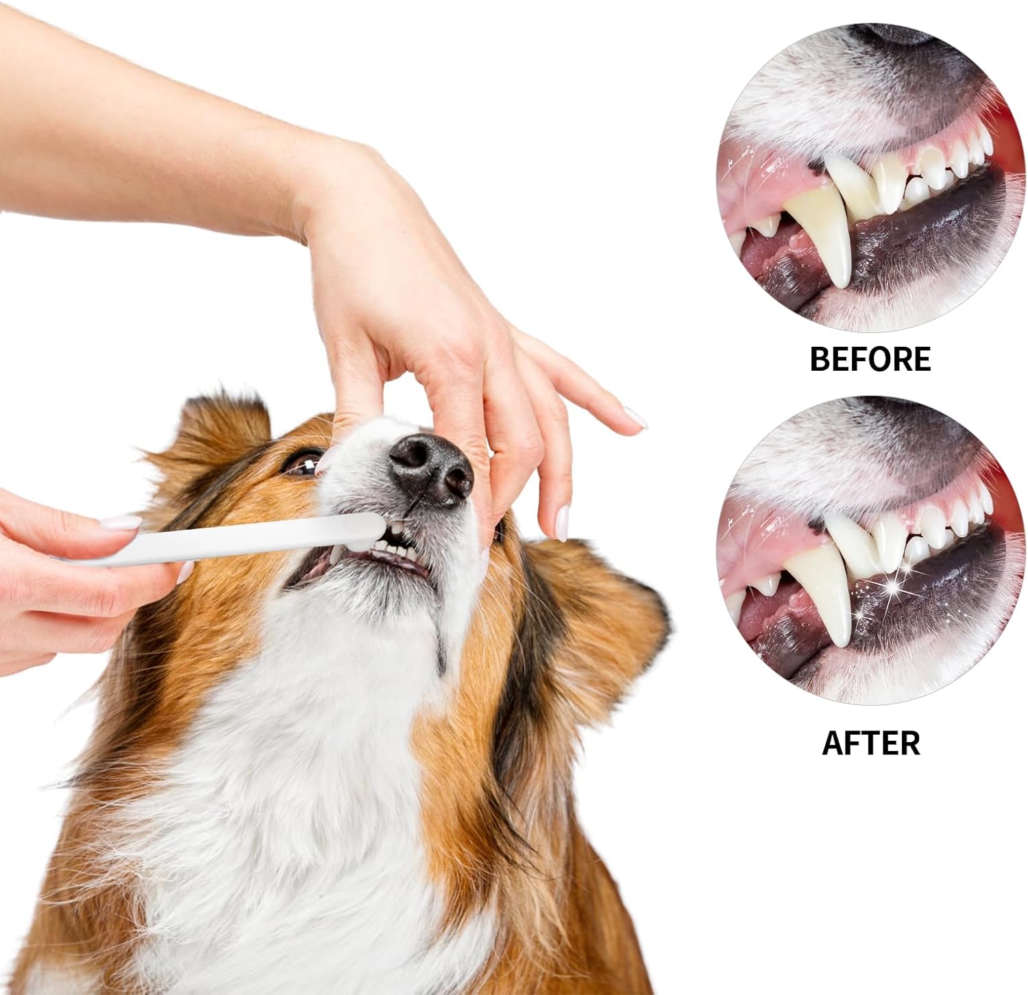 Petluno Small Dog & Cat Toothbrush 5 Set, Micro Nano Bristles to Clean pet Teeth Toothbrushes, Puppy Dogs Pet Tooth Cleaning Kit with Storage Box（White - Image 6