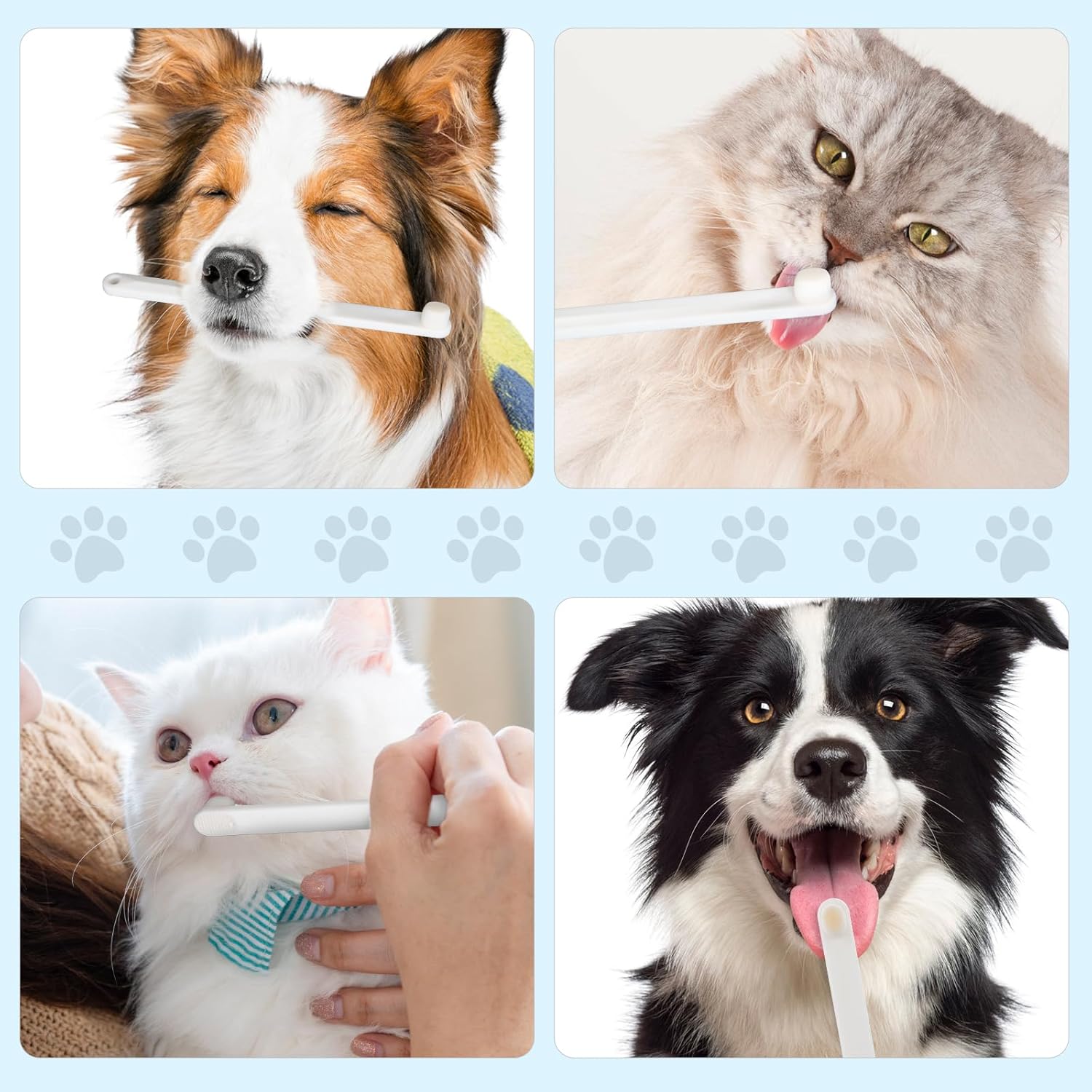 Petluno Small Dog & Cat Toothbrush 5 Set, Micro Nano Bristles to Clean pet Teeth Toothbrushes, Puppy Dogs Pet Tooth Cleaning Kit with Storage Box（White - Image 7