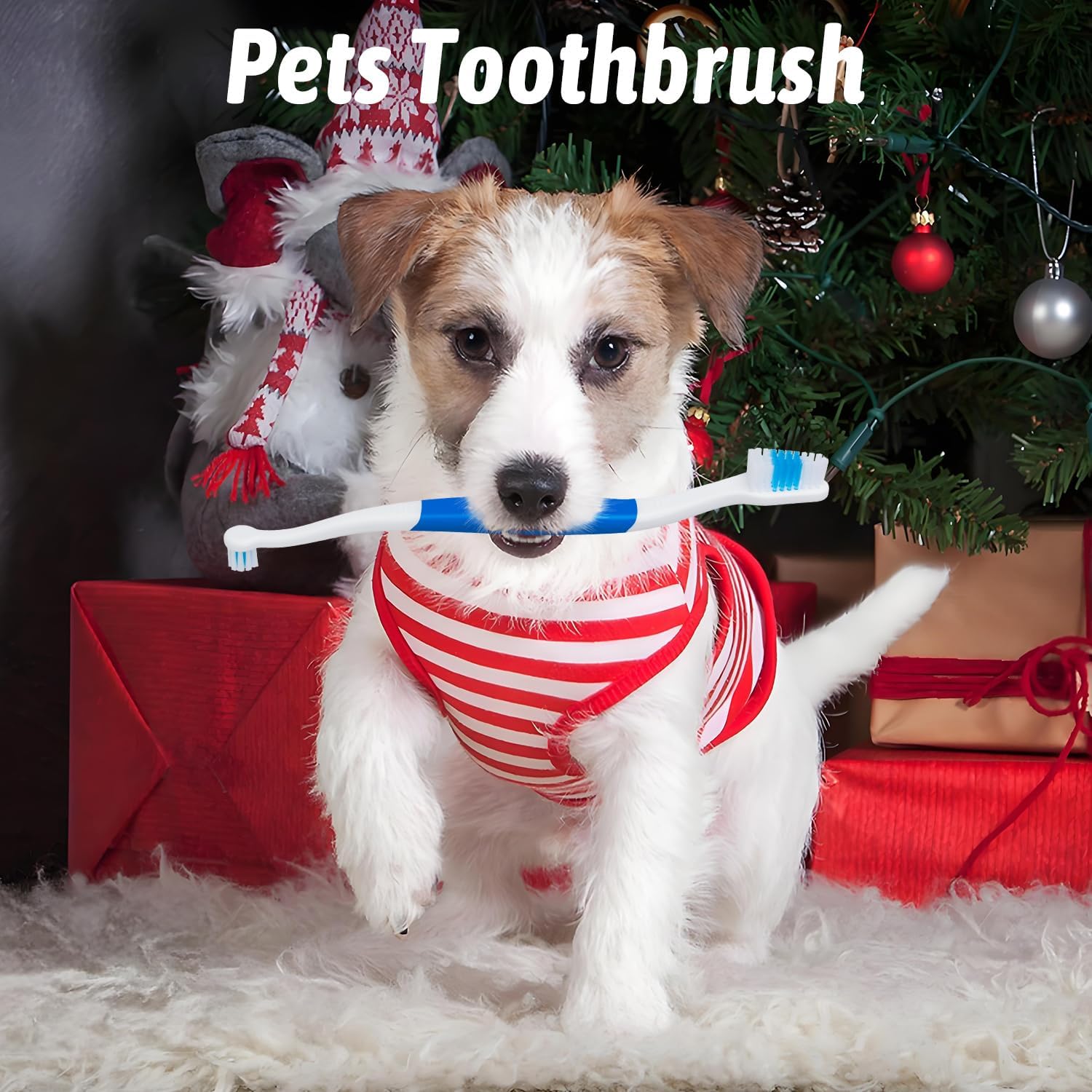 Petluno Pet Toothbrush for Dogs, Cats, Double Headed with Soft Bristles, Easy Teeth Cleaning, Non Slip Dog Toothbrushes in Bulk (Pack of 6) 6 Pcs - Image 5