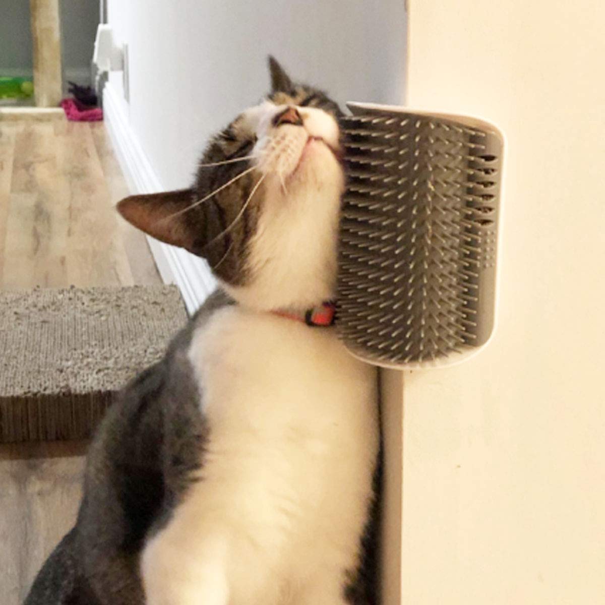 2 Pack Softer Self Groomer with Catnip Wall Corner Massage Comb Scratcher Grooming Brush Tool for Long & Short Fur Kitten Cats Dogs (Gray) - Image 5