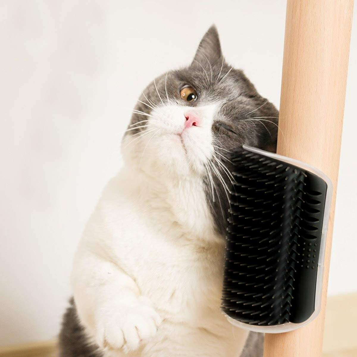 2 Pack Black Catnip Wall Massage Corner Brush for Long & Short Fur Cats and Kittens - Self Groomer Scratcher with Soft Comb - Image 3