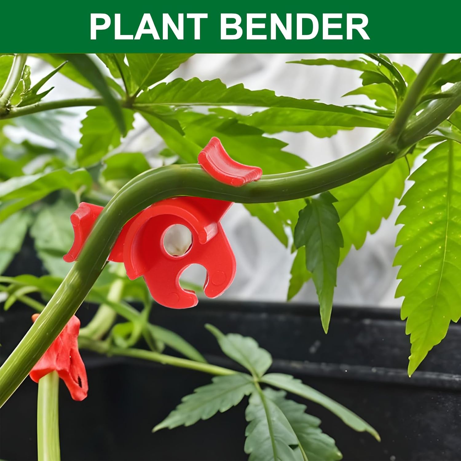 60Pcs Plant Training Clips, Reusable 90 Degrees Bud Trainer Lst Clips for Low Stress Training Plant Stem Support Bud Bender for Tomatoes Cucumbers Climbing Plants in Indoor Outdoor Gardens (Red Green) - Image 2