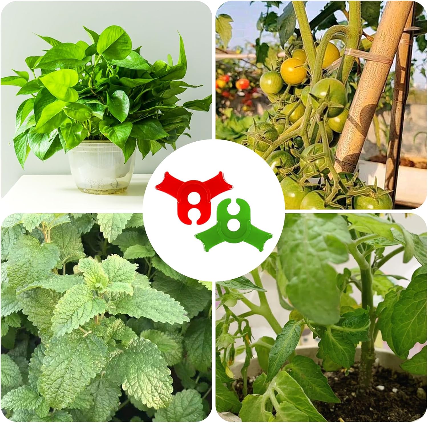 60Pcs Plant Training Clips, Reusable 90 Degrees Bud Trainer Lst Clips for Low Stress Training Plant Stem Support Bud Bender for Tomatoes Cucumbers Climbing Plants in Indoor Outdoor Gardens (Red Green) - Image 6