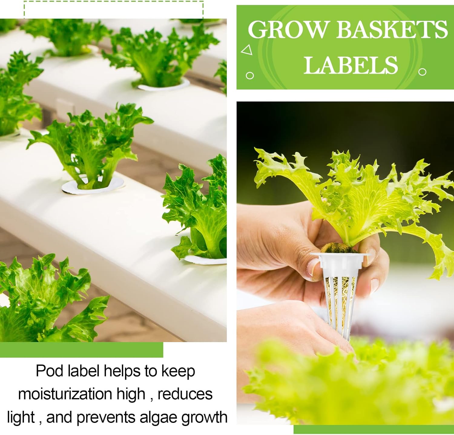 Cunhill 100 Pcs Hydroponic Growing Kit Include 50 Pcs Plant Replacement Basket Containers and 50 Pcs Seed Pot Label Compatible with Hydroponic Growing System(0.5 Inch,White) - Image 2