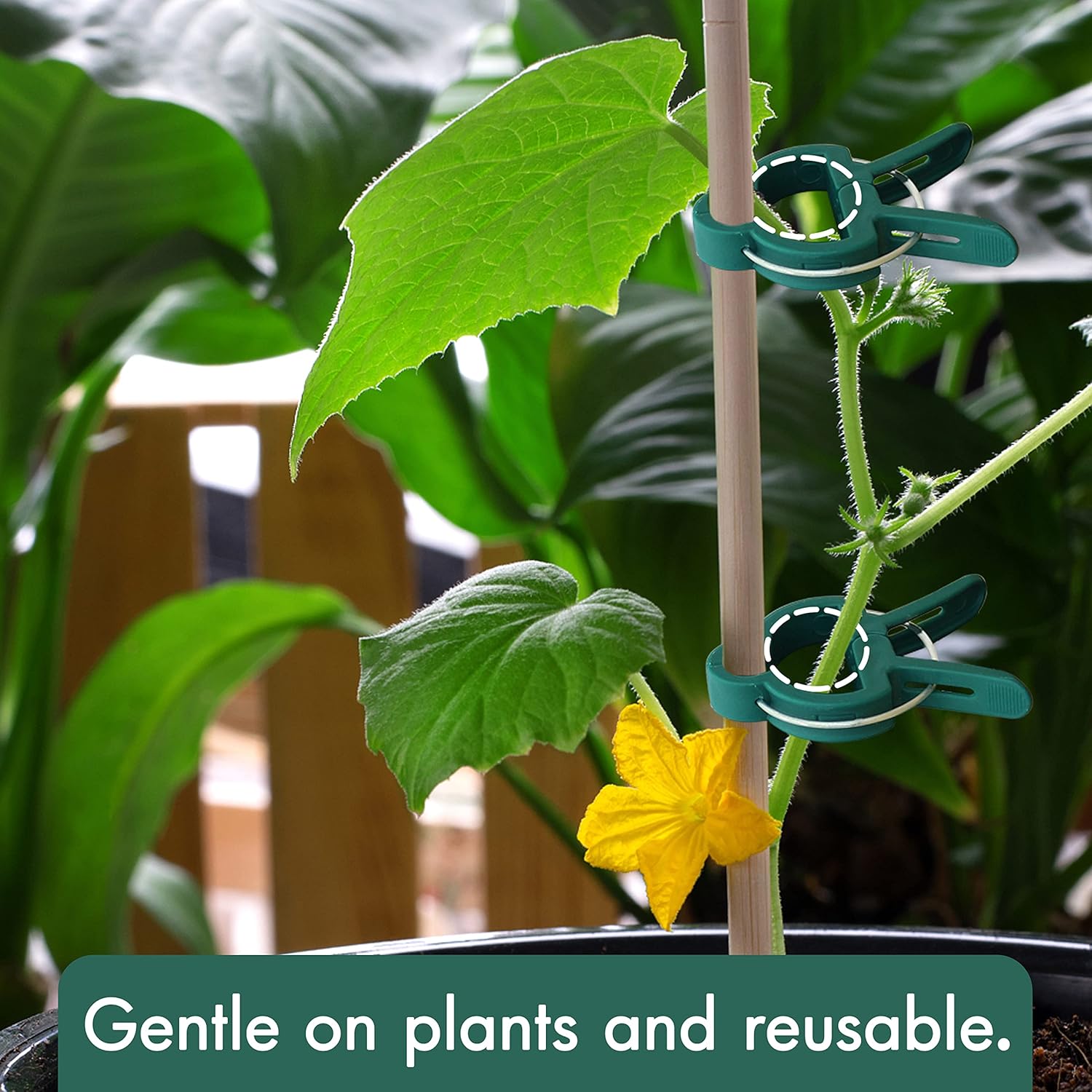 48 Pcs Garden Plant Clips, Plant Support Clips for Securing Stems, Flowers or Climbing Vines to Tomato Cages, Trellis - Image 4