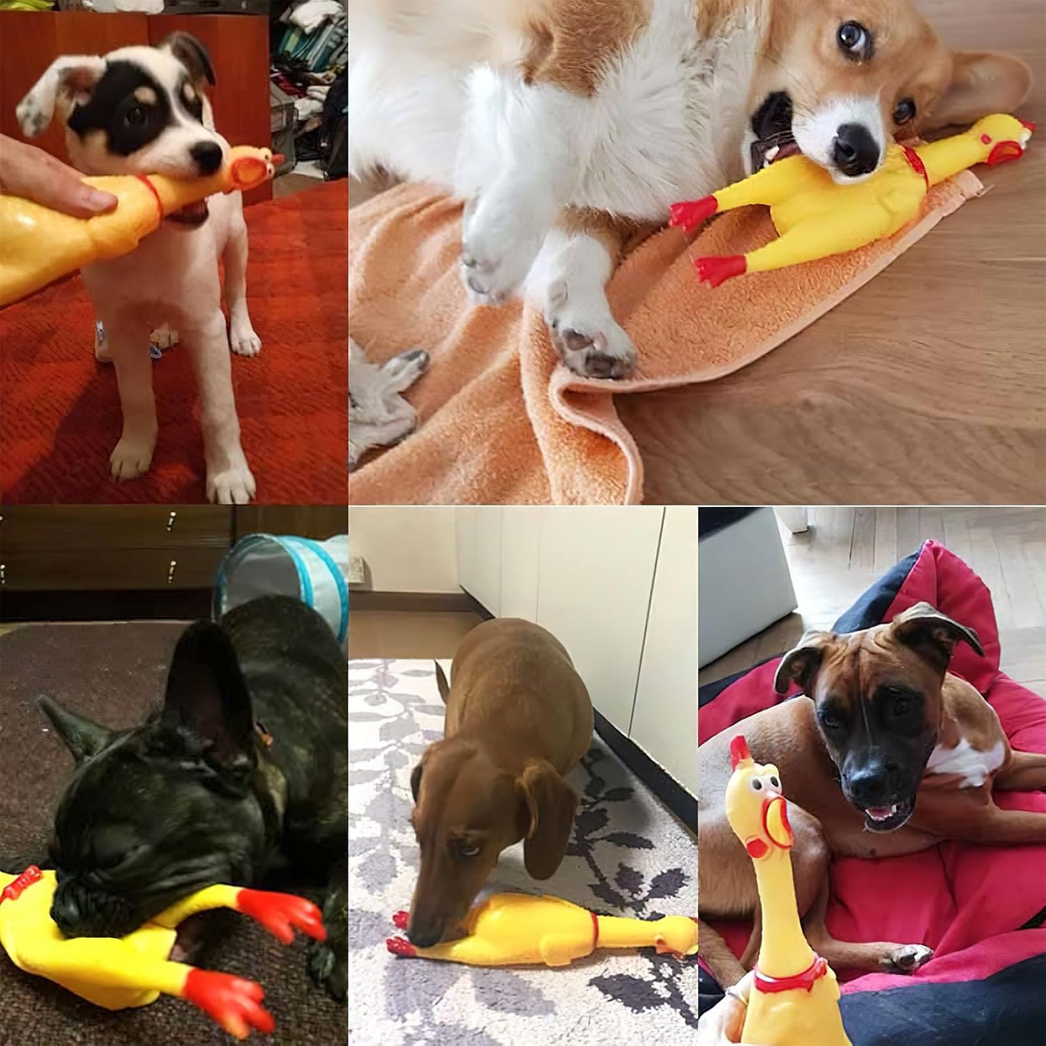 Screaming Chicken, Squeaky Chicken Dog Toys Gag Gifts Prank Novelty Toy Party Favors for Kids Adults April Fools Pranks Easter Goodie Bag Fillers Easter Basket Stuffers - Image 5