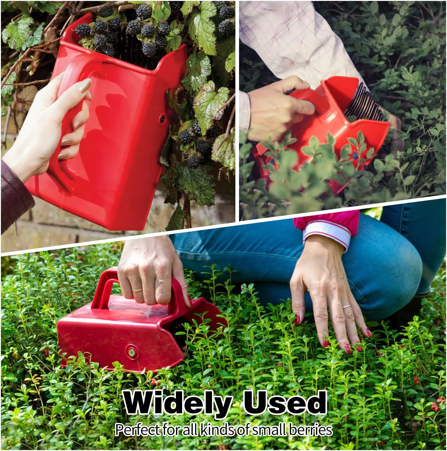 1/2/4 Pack Berry Picker, with Metallic Comb and Ergonomic Handle for Easier Berry Picking - Image 6