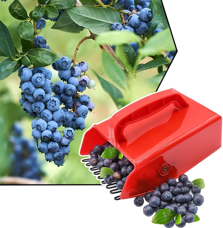 1/2/4 Pack Berry Picker, with Metallic Comb and Ergonomic Handle for Easier Berry Picking - Image 7