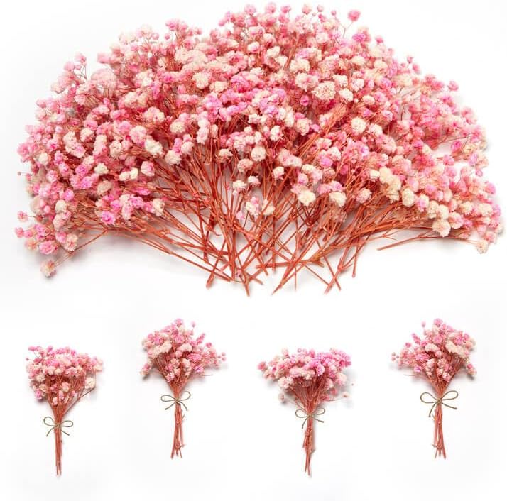 1500+ Mini Pink Dried Babys Breath Flowers, 50pcs Baby Breath Bouquet, 6'' Natural Gypsophila Bulk, Dried Flowers for Gifts, DIY Crafts, Wedding Decor, Card Making, Vase Filler, Wreath Floral - Image 1