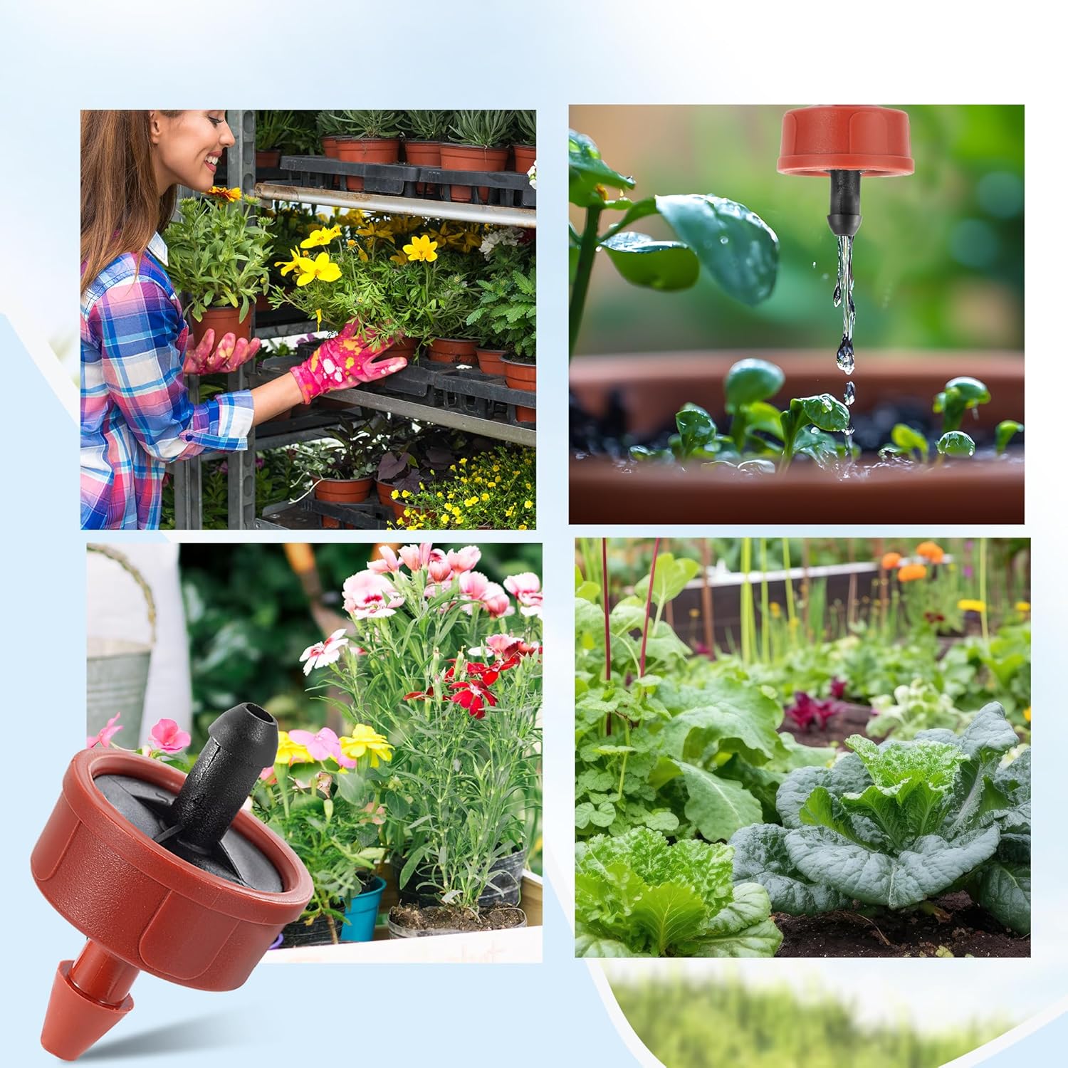 60Pcs 1 GPH Pressure Compensating Irrigation Spot Drippers,Constant Flow Barb Outlet Watering Dripper Emitters Heads Parts for 1/4 Inch Watering Tubing Line for Garden Pots Plants Irrigation Systems - Image 6