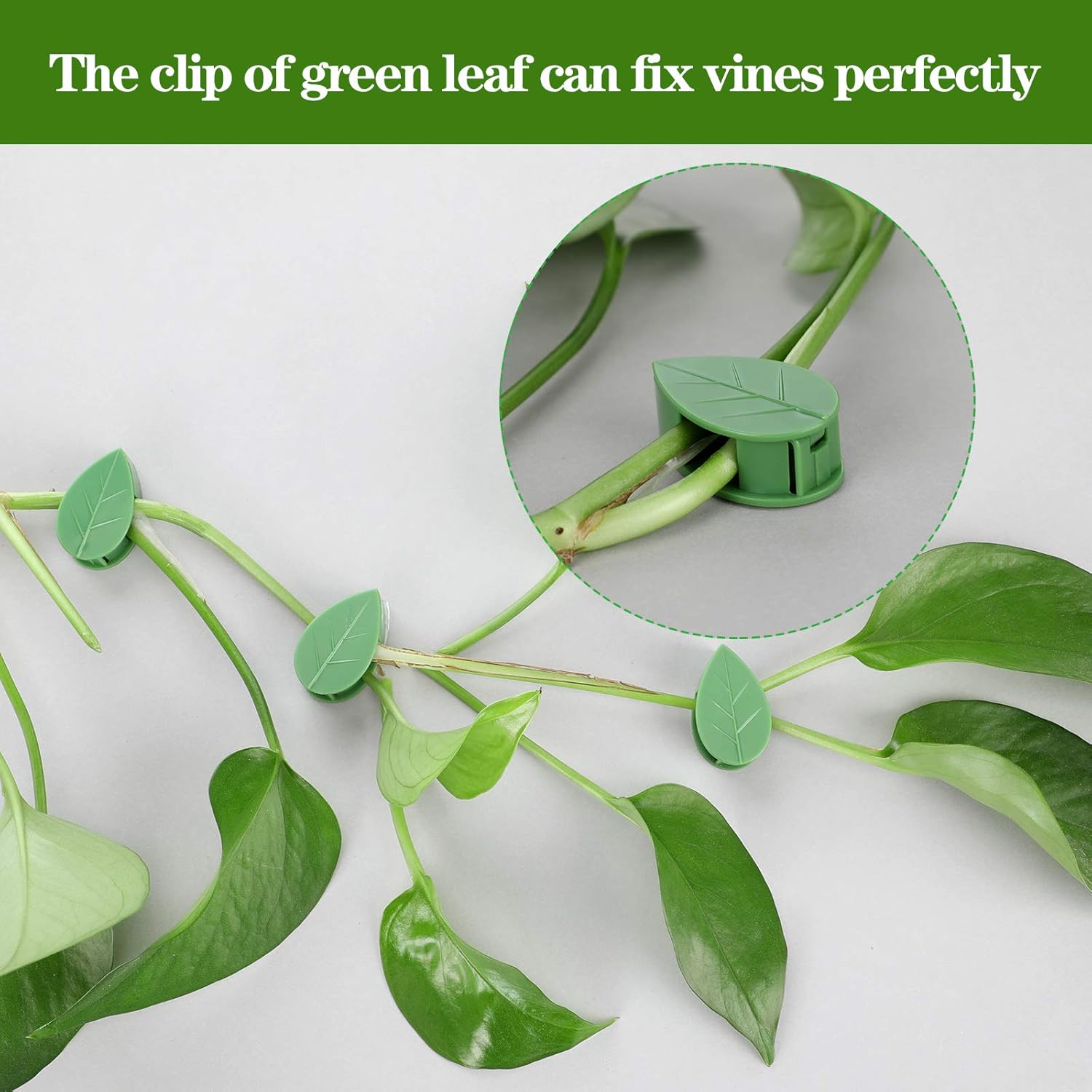 60 Pieces Plant Climbing Wall Fixture Clips with 72 Pieces Acrylic Adhesive Sticker Leaf Fixer Invisible Wall Vines Fixing Clips Hook Plant Vine Traction for Indoor Outdoor Decoration - Image 3