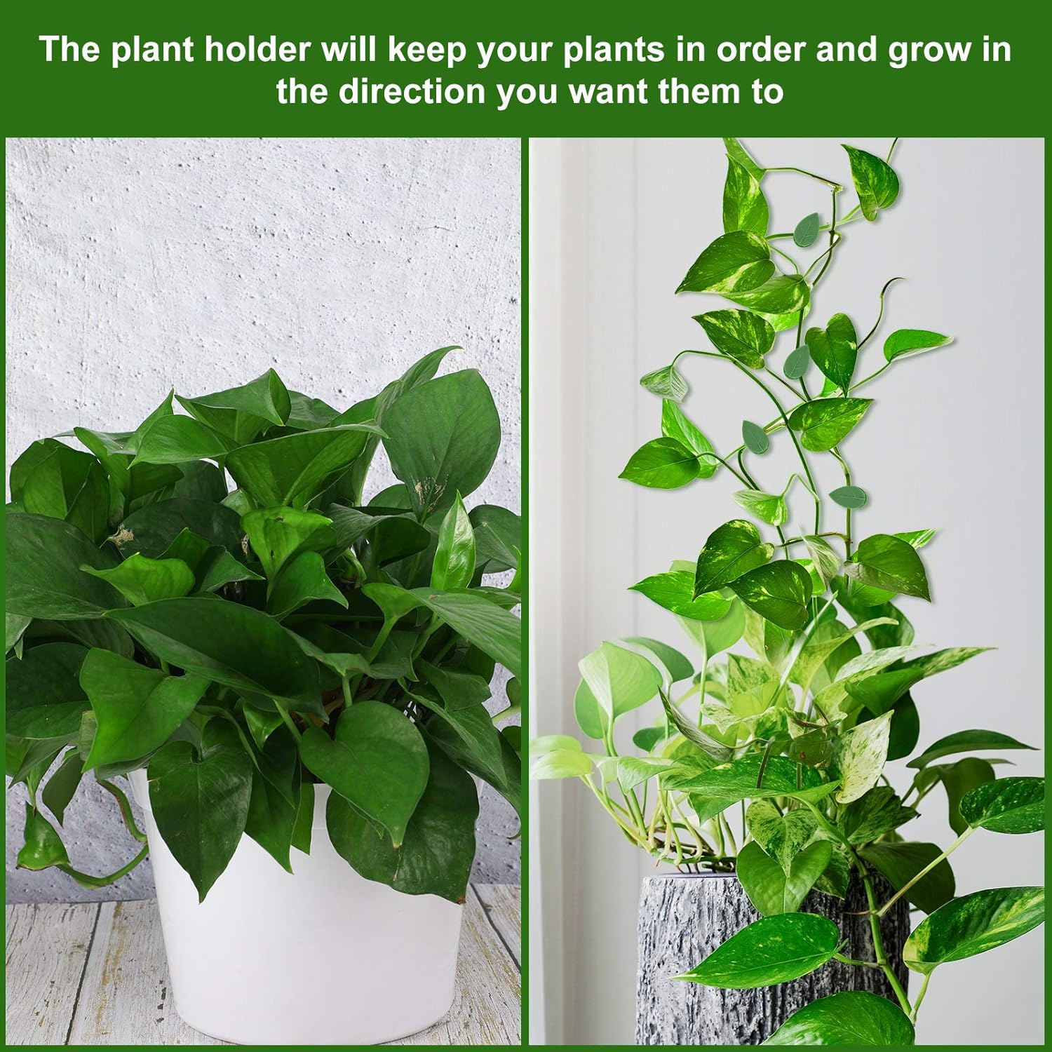 60 Pieces Plant Climbing Wall Fixture Clips with 72 Pieces Acrylic Adhesive Sticker Leaf Fixer Invisible Wall Vines Fixing Clips Hook Plant Vine Traction for Indoor Outdoor Decoration - Image 4
