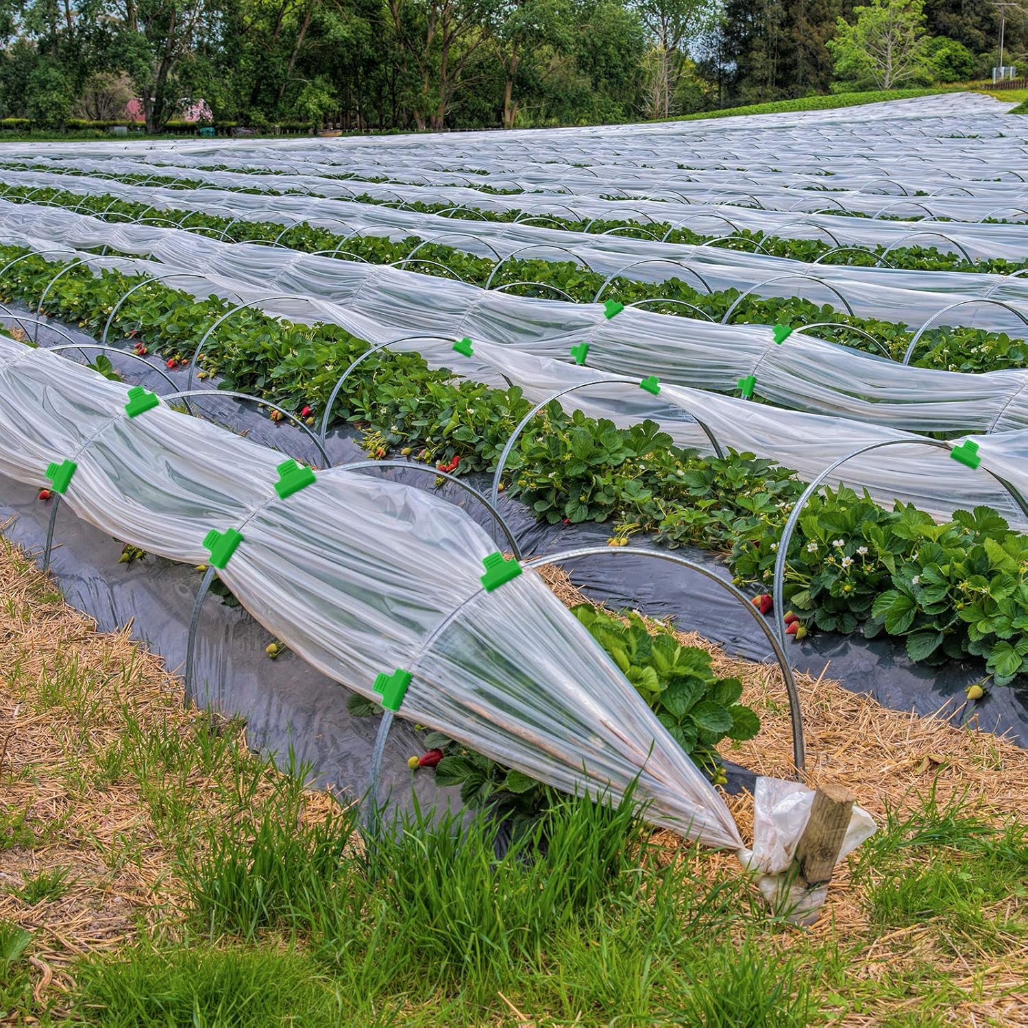 40 Pieces Greenhouse Clamps Film Row Cover Netting Tunnel Hoop Clip Frame Shading Net Rod Clip Greenhouse Film Clamps for Season Plant Extension Support (40 pieces,10 mm) - Image 6