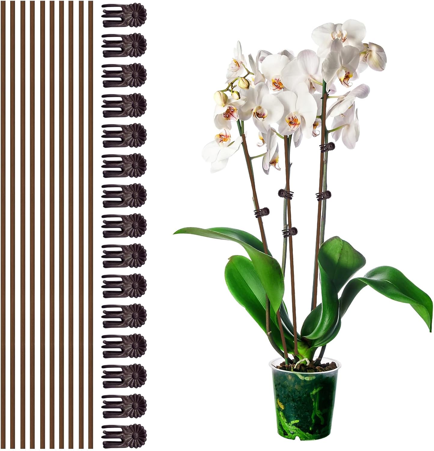 10Pcs Plant Support Stakes with 15Pcs Plant Clips, 15.75inch Tall Bendable Single Stem Sticks Orchid Clips Brown Helps Growth for Indoor Outdoor Flowers Rose Amaryllis - Image 1
