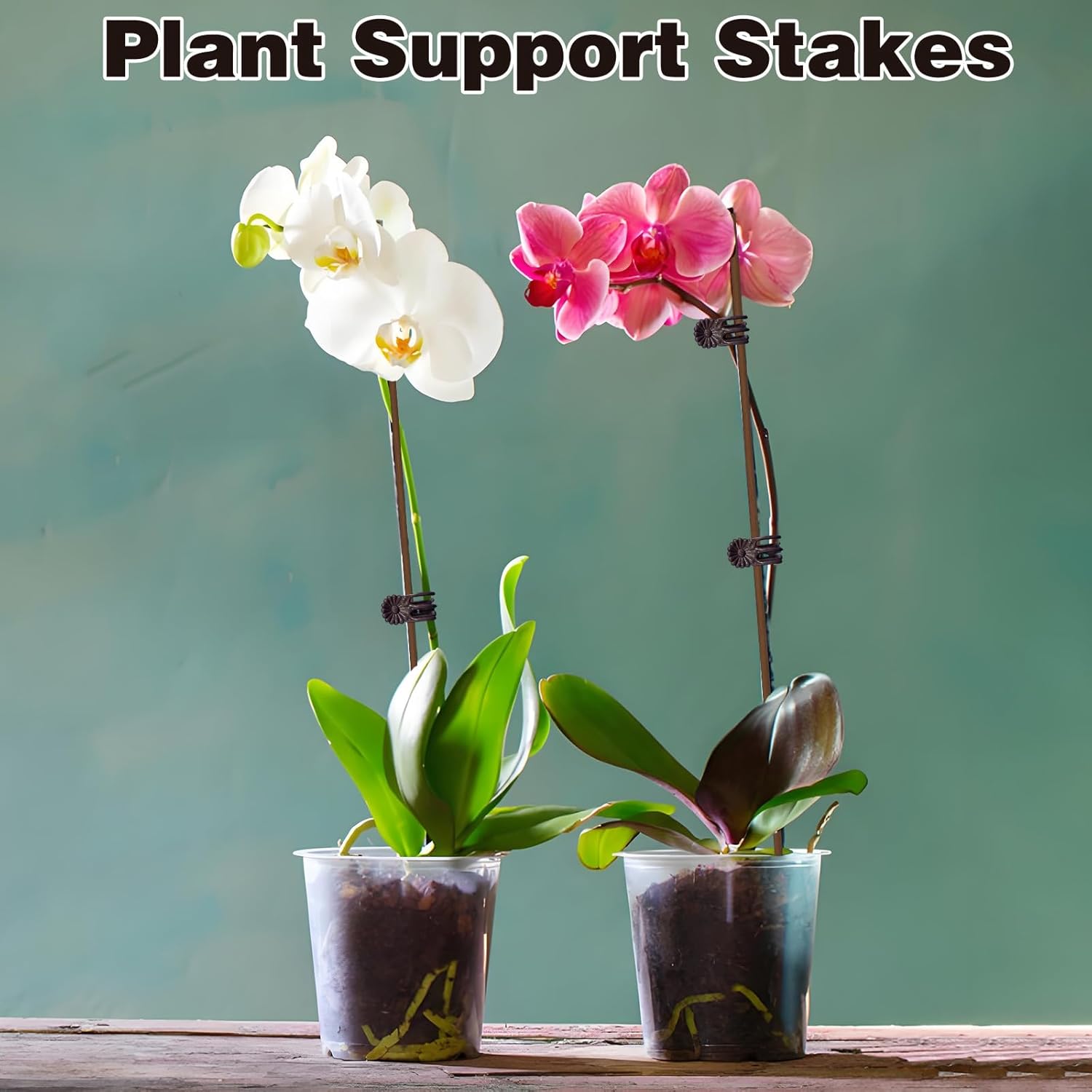 10Pcs Plant Support Stakes with 15Pcs Plant Clips, 15.75inch Tall Bendable Single Stem Sticks Orchid Clips Brown Helps Growth for Indoor Outdoor Flowers Rose Amaryllis - Image 5