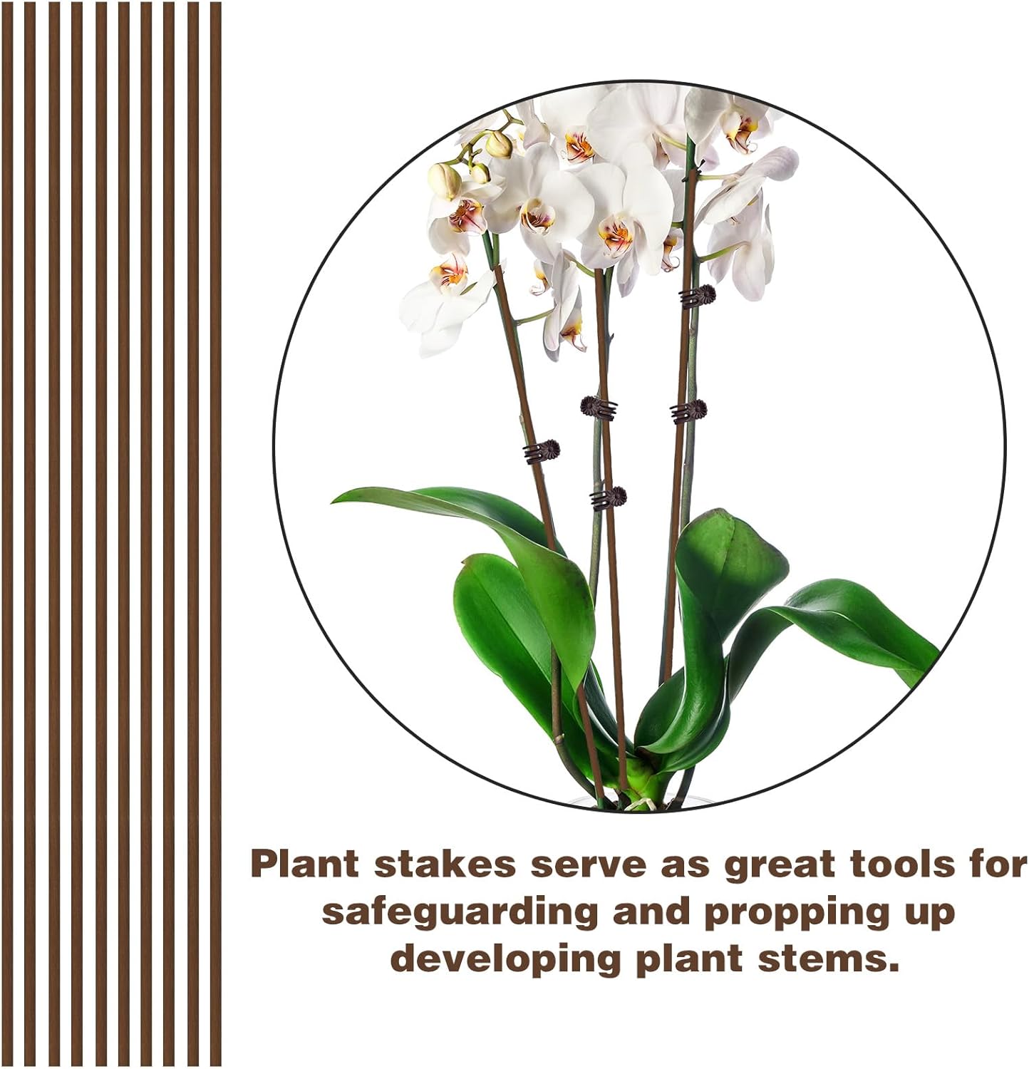 10Pcs Plant Support Stakes with 15Pcs Plant Clips, 15.75inch Tall Bendable Single Stem Sticks Orchid Clips Brown Helps Growth for Indoor Outdoor Flowers Rose Amaryllis - Image 6