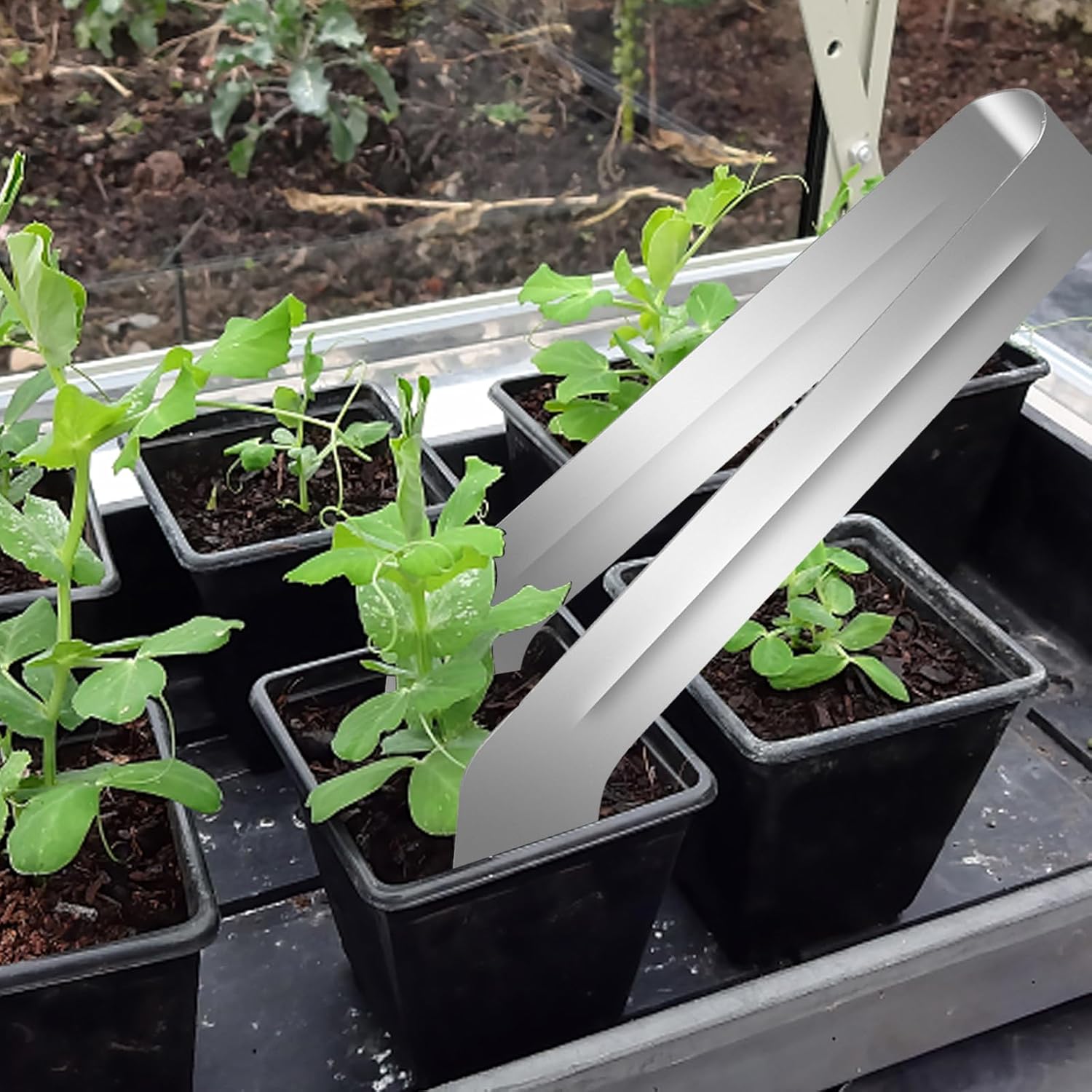 2Pcs Seedling Transplant Tongs, Gardening Plants Transplant Tongs Stainless Steel Seedling Remove Transplanting Pliers, Gardening Supplies Plant Seed Starting Tools, Reduce Root Damage (8.7 Inch) - Image 4