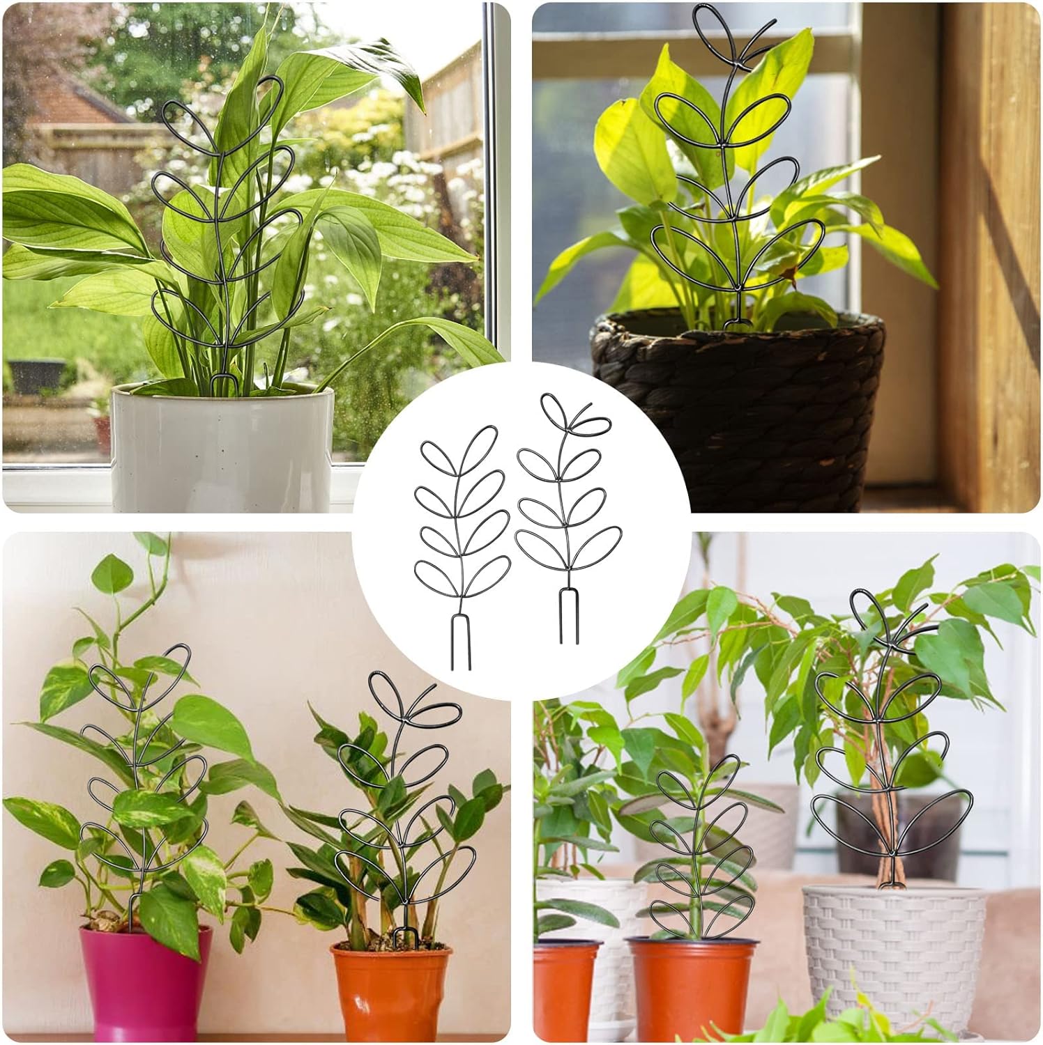 4 Pcs Small Metal Trellis for Potted Plants,Indoor Plants Trellis for Climbing,Leaf Shapes Mini Plant Trellis Support Stake House Plant Trellis for Garden Potted, Hoya, Pothos, Flower, Monstera(Black) - Image 6