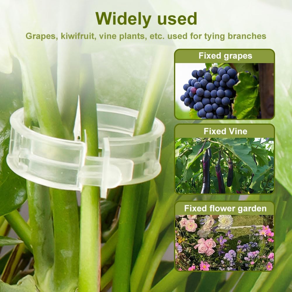 2024 New Secured Plastic Plant Clip, Upgraded Plant Support Clips Reusable Garden Clips 50Pcs, Plant Support Clips Garden Climbing Vines Fixing Clip Trellis Clips Climbing Tomato Clips (50, Green) - Image 3