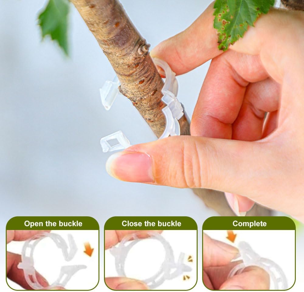 2024 New Secured Plastic Plant Clip, Upgraded Plant Support Clips Reusable Garden Clips 50Pcs, Plant Support Clips Garden Climbing Vines Fixing Clip Trellis Clips Climbing Tomato Clips (50, Green) - Image 4