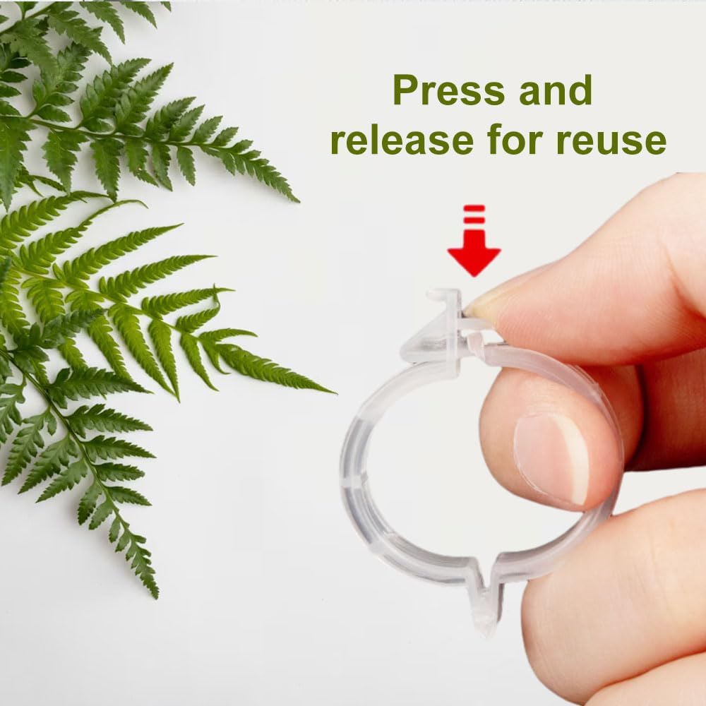 2024 New Secured Plastic Plant Clip, Upgraded Plant Support Clips Reusable Garden Clips 50Pcs, Plant Support Clips Garden Climbing Vines Fixing Clip Trellis Clips Climbing Tomato Clips (50, Green) - Image 6