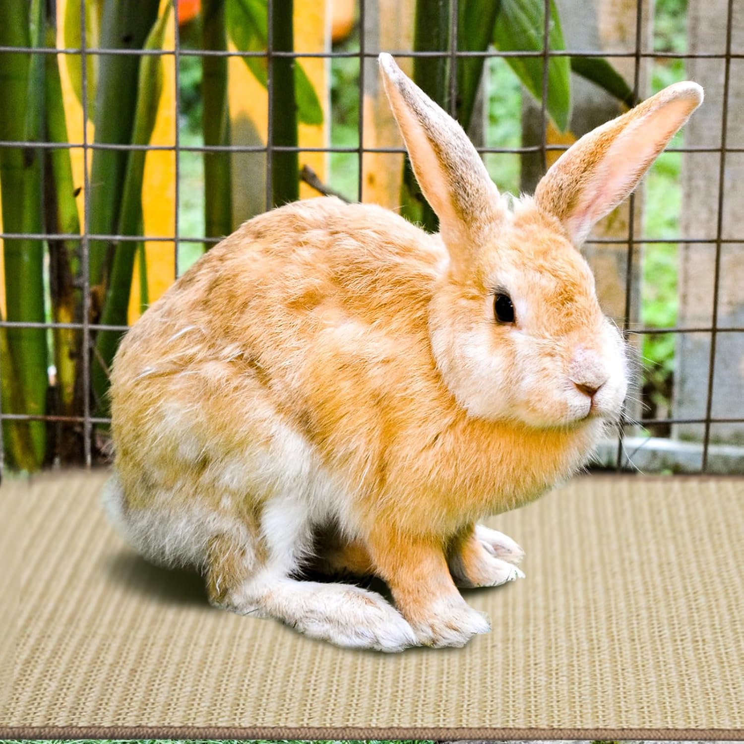 2Pcs Rabbit Scratch Mat,16 x 12 Inch Sisal Rabbit Scratching Pad,Rabbits Scratching Mats for Cages,Claws and Teeth Care Rabbits Chew Toys,Small Pet Bedding for Biting Sleeping Nesting - Image 5
