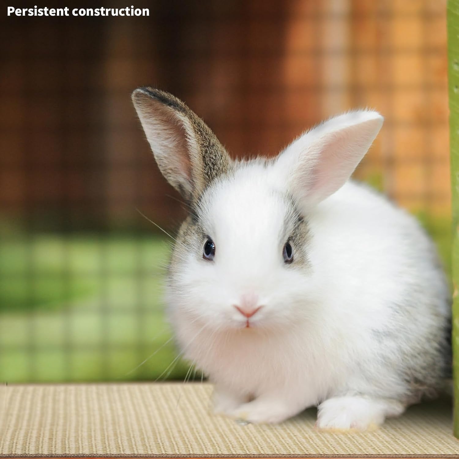 2Pcs Rabbit Scratch Mat,16 x 12 Inch Sisal Rabbit Scratching Pad,Rabbits Scratching Mats for Cages,Claws and Teeth Care Rabbits Chew Toys,Small Pet Bedding for Biting Sleeping Nesting - Image 6