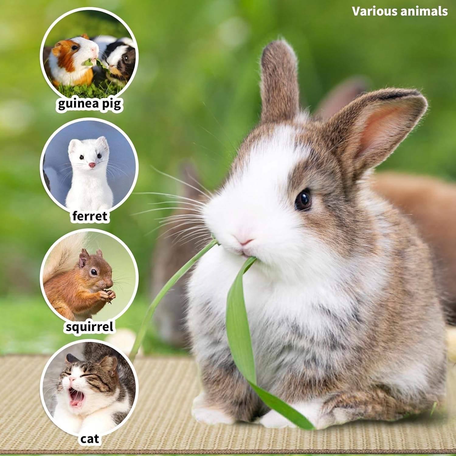 2Pcs Rabbit Scratch Mat,16 x 12 Inch Sisal Rabbit Scratching Pad,Rabbits Scratching Mats for Cages,Claws and Teeth Care Rabbits Chew Toys,Small Pet Bedding for Biting Sleeping Nesting - Image 7