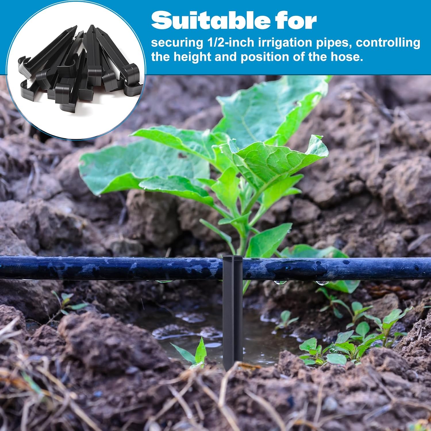 30 Pack 1/2 Inch Irrigation Tubing Hold Down Anchor Stakes, 0.87 x 4.33 Inch Drip Tubing Stakes with 50 Pcs 1/4